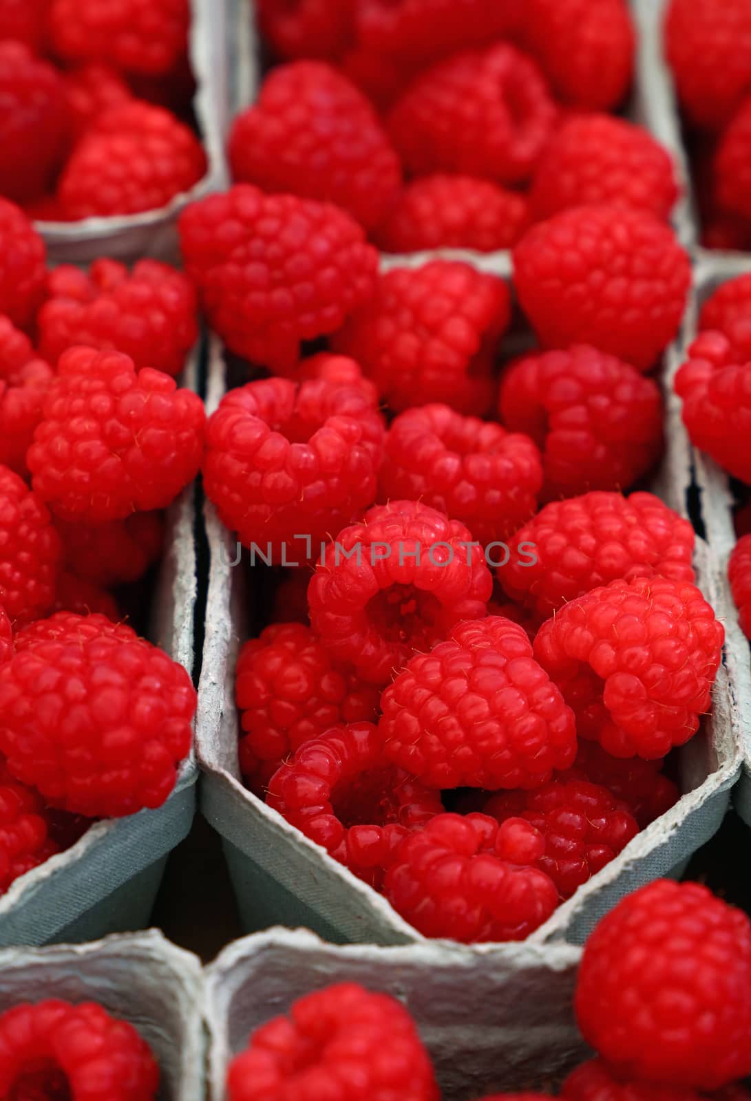 Close up red ripe raspberry on retail display by BreakingTheWalls