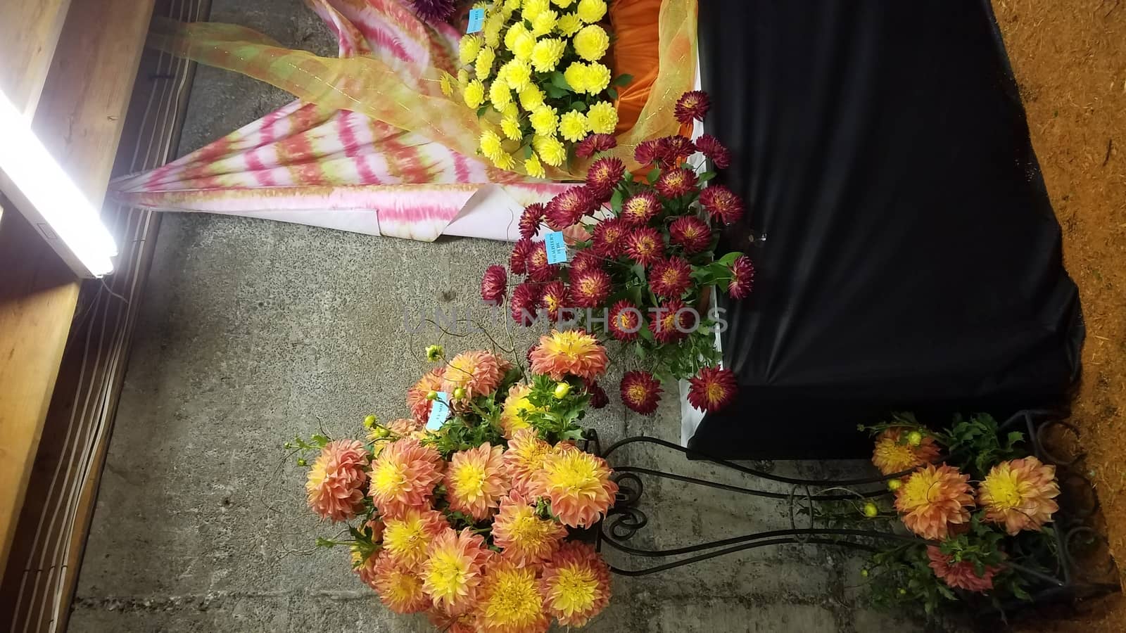 yellow and red dahlia flower petals with green leaves on table indoors