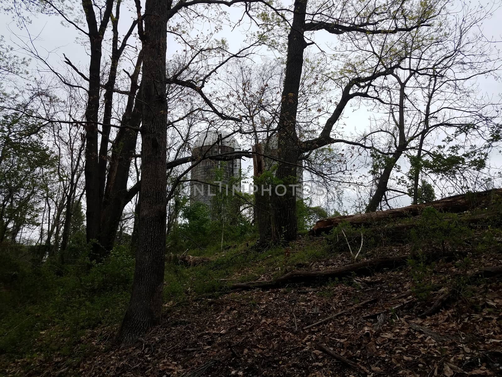 old abandoned farm silo buildings and trees and branches