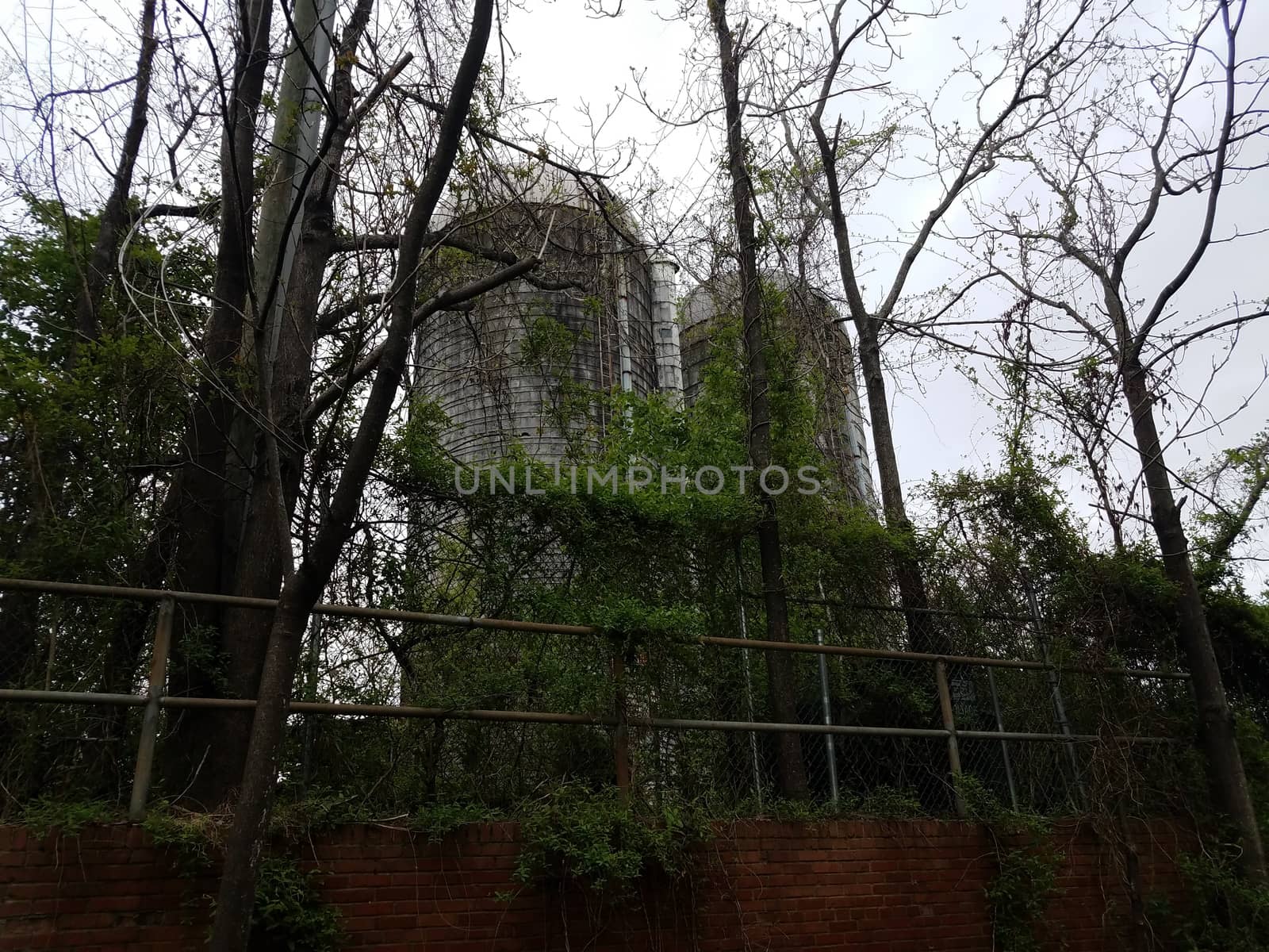 old abandoned farm silos and trees and branches by stockphotofan1