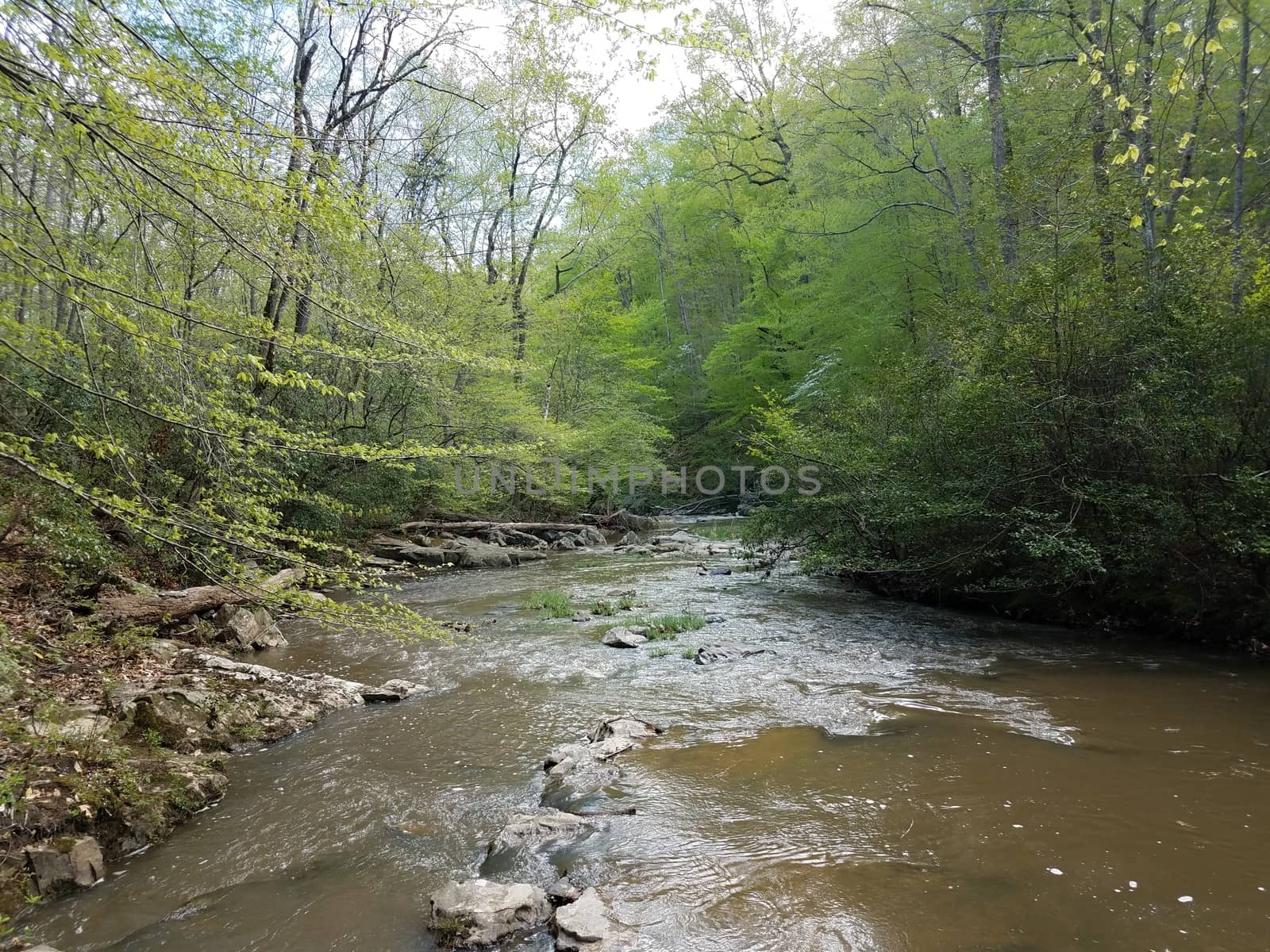 rocks or boulders with water in river in forest by stockphotofan1