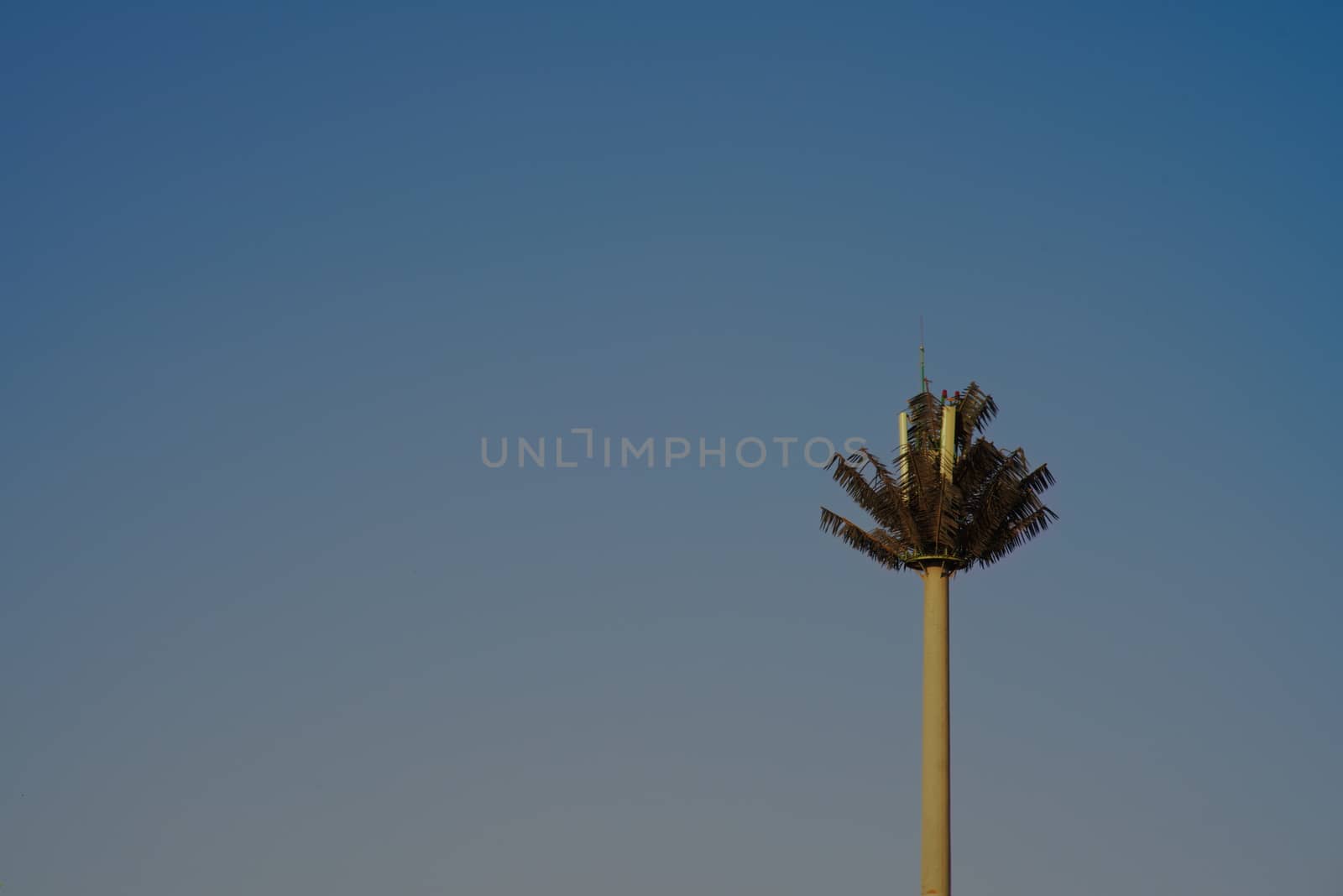 mobile telecommunications antenna camouflaged as a fake palm tree