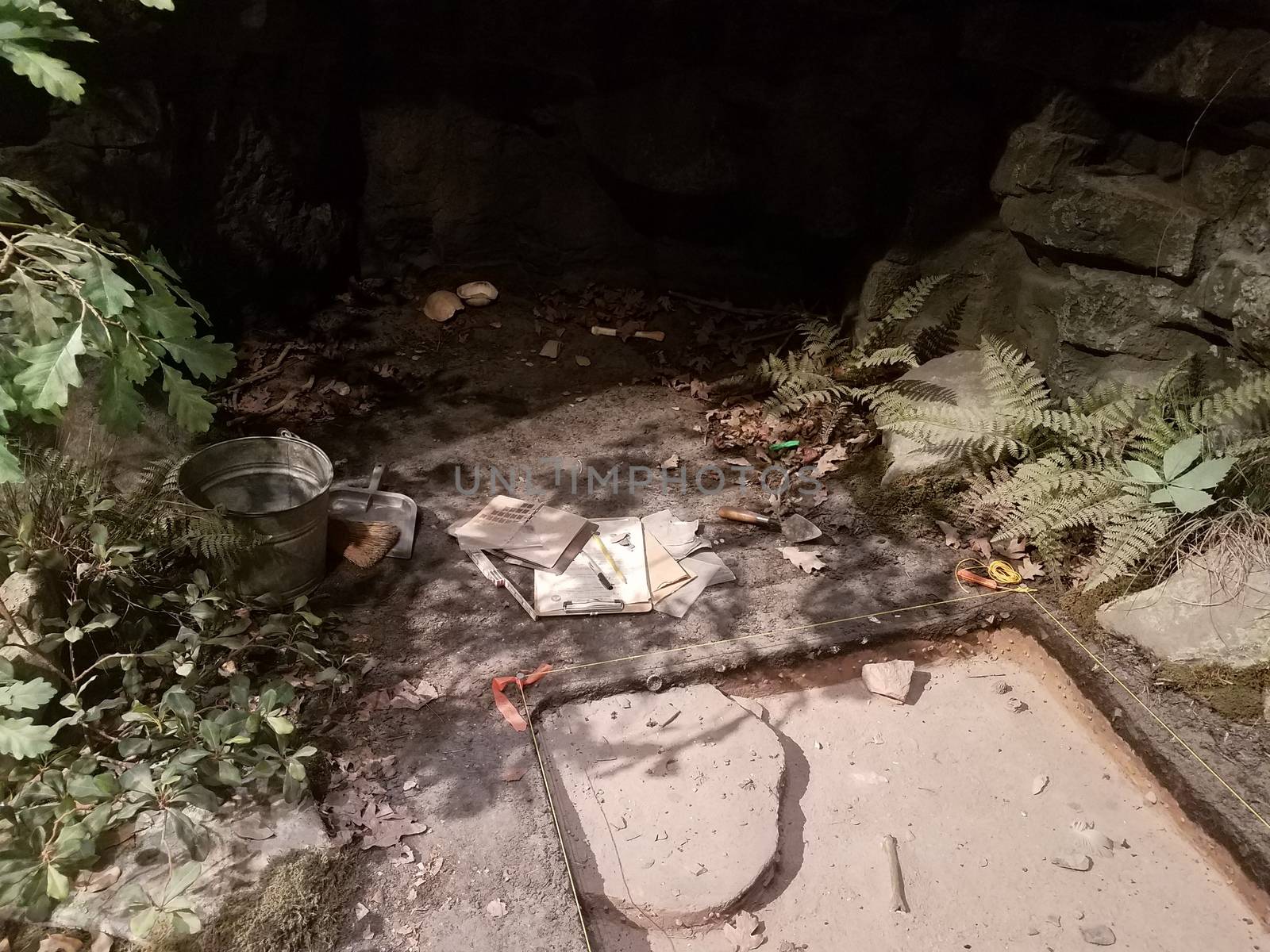 cave with turtle shells and archaeology tools and materials