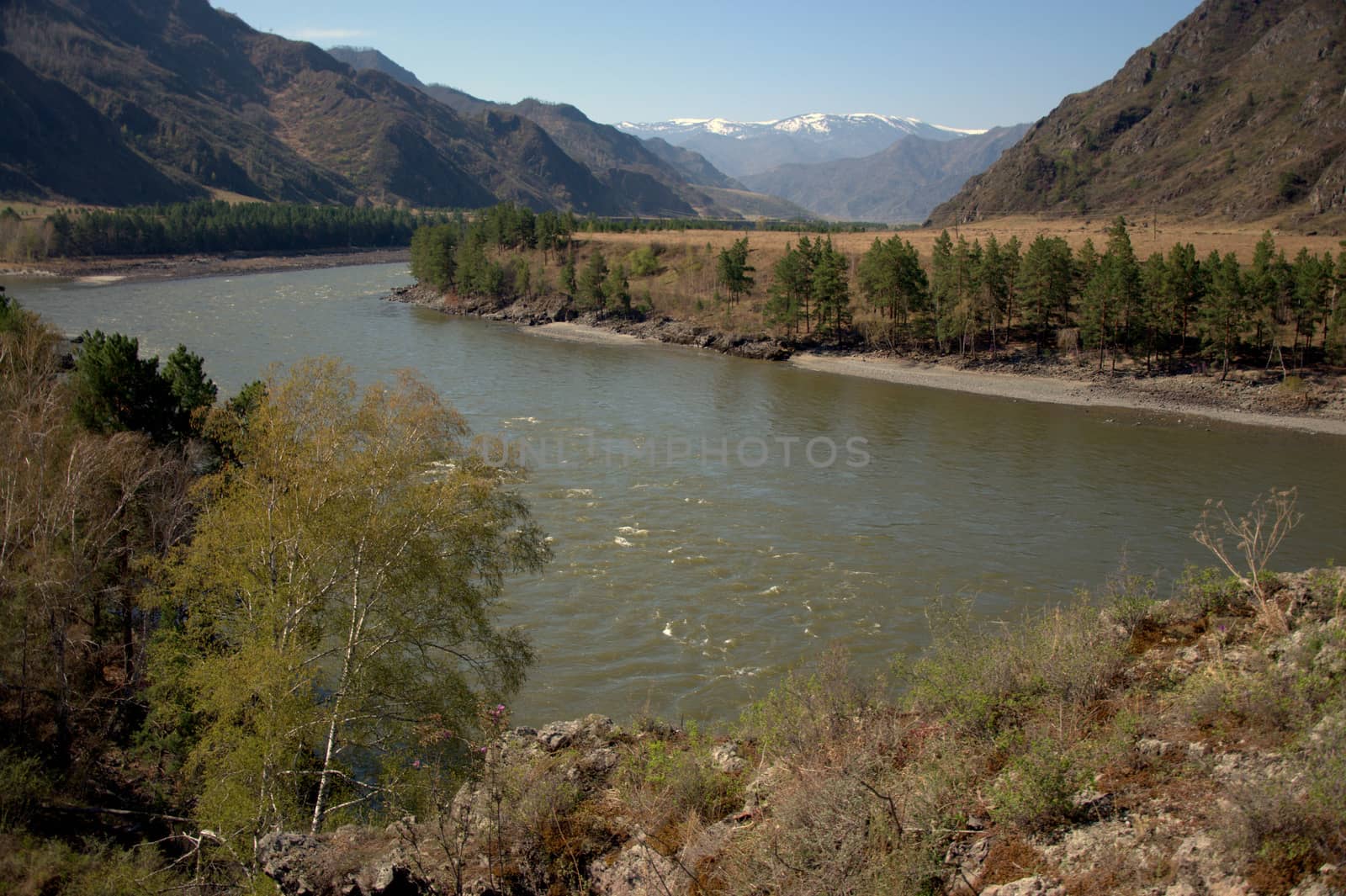 The swift Katun River carries its turquoise waters through the Altai Mountains.