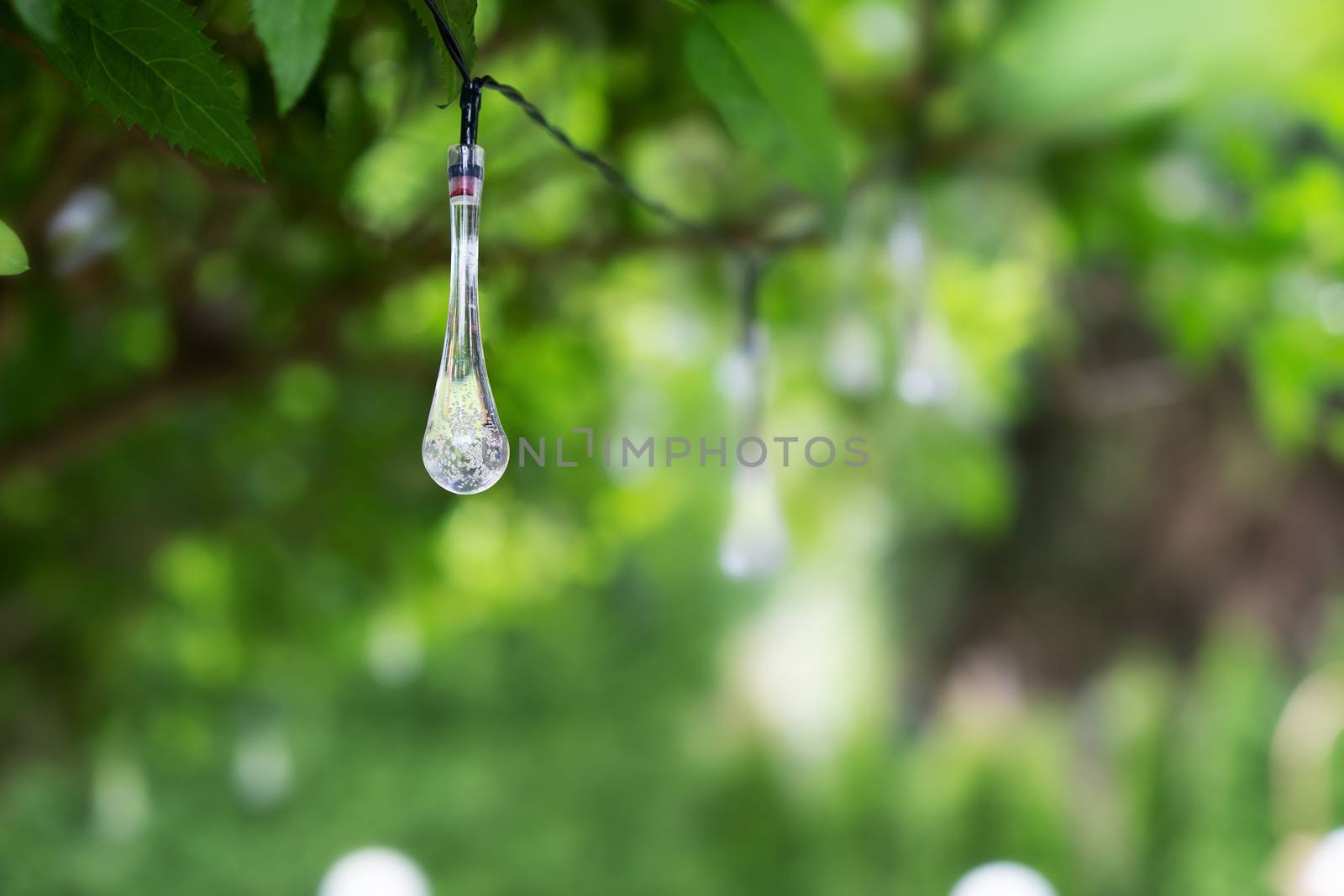 A chain of LED hanging in a green bush as lighting and garden decoration with a blurred background.
