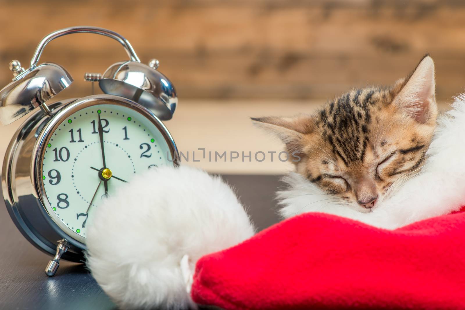 the kitten sleeps in Santa's hat next to the alarm clock