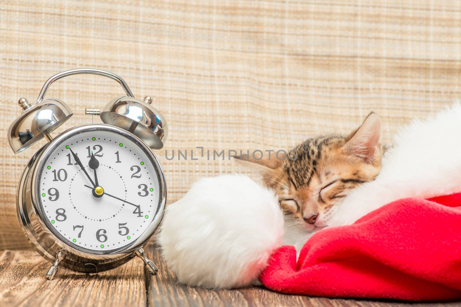 little kitty is sleeping soundly in Santa hat next to the retro alarm clock