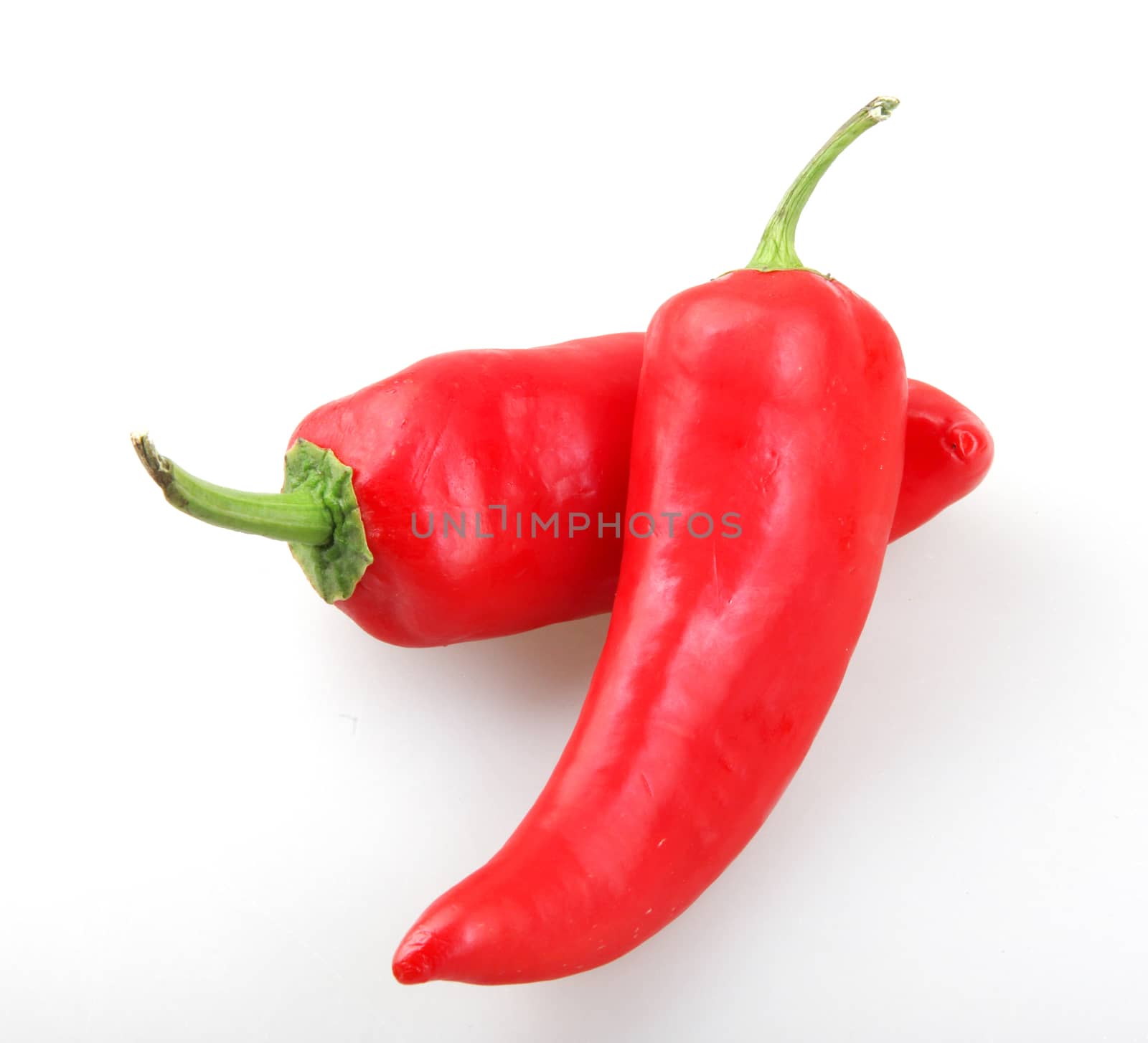 Close-Up Of Red Chili Pepper Against White Background by nenovbrothers