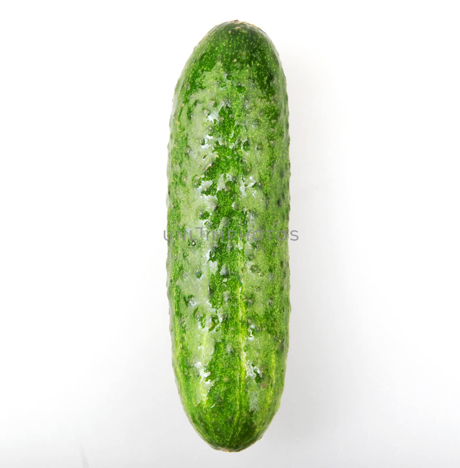 Fresh Cucumber Against White Background by nenovbrothers