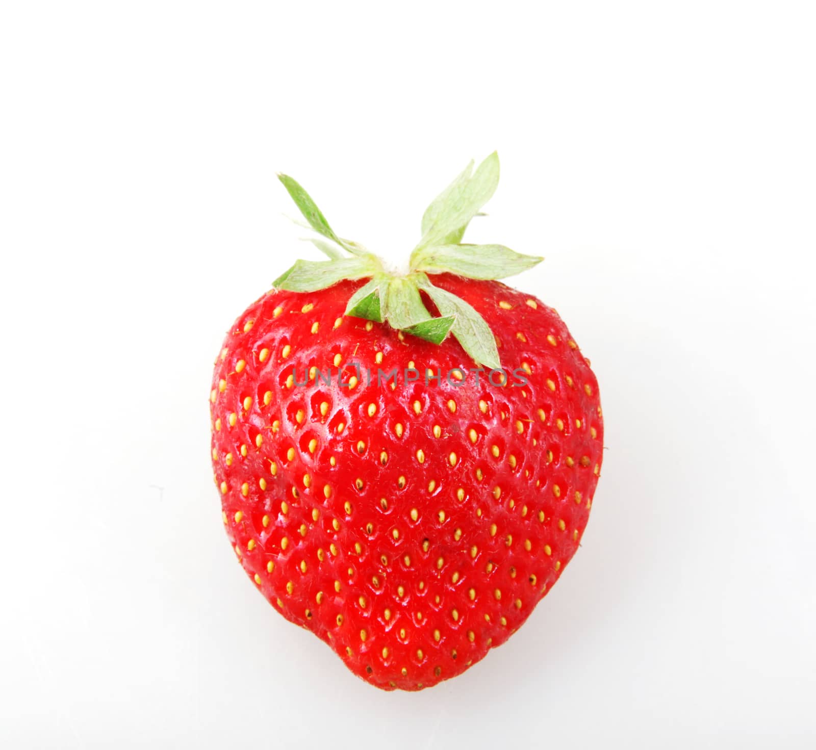Garden Strawberry Against White Background