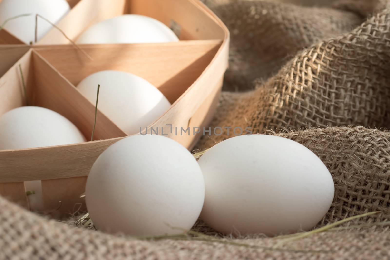 White eggs in the straw close-up in a rustic style by clusterx