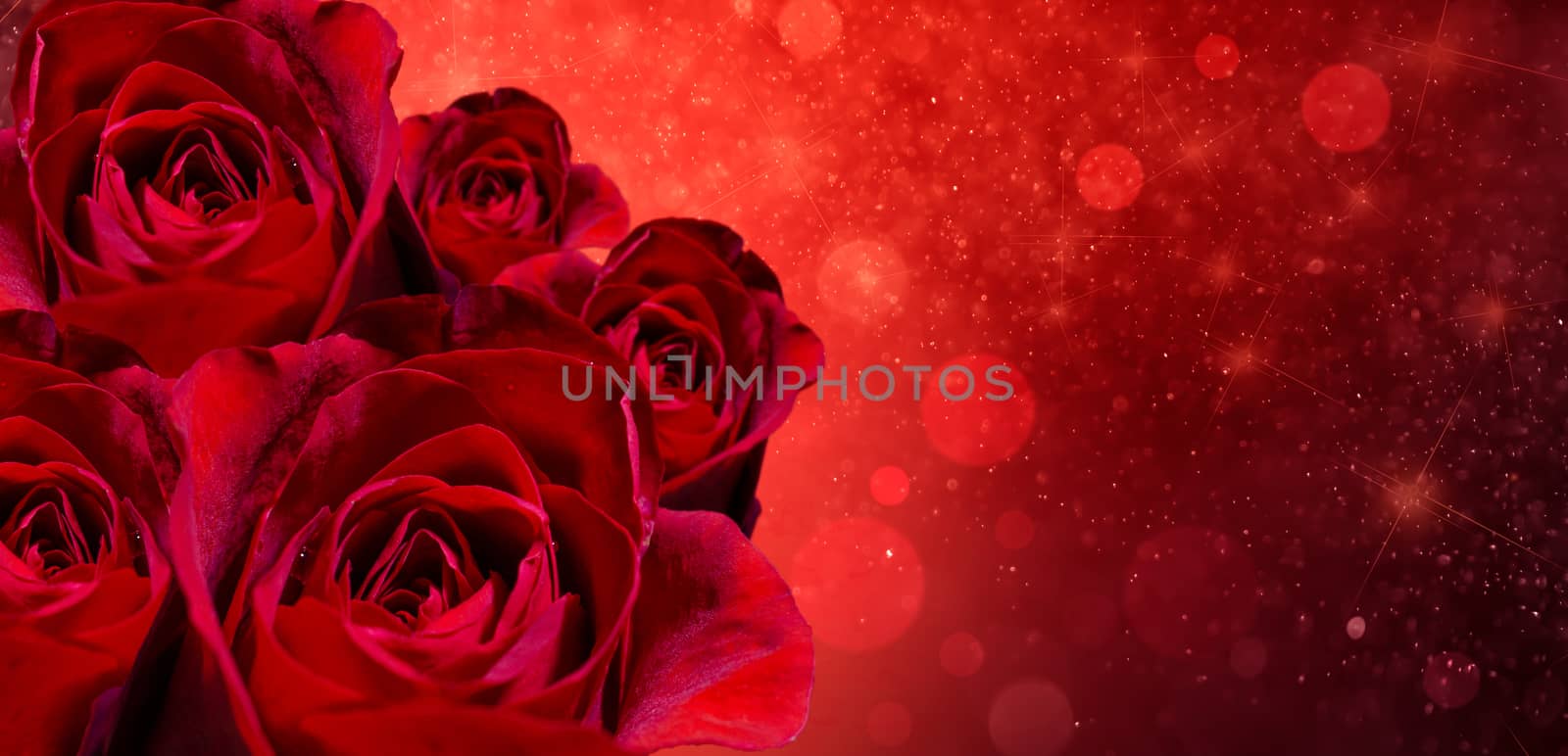Banner Red rose bokeh red background Have space to enter text by sarayut_thaneerat