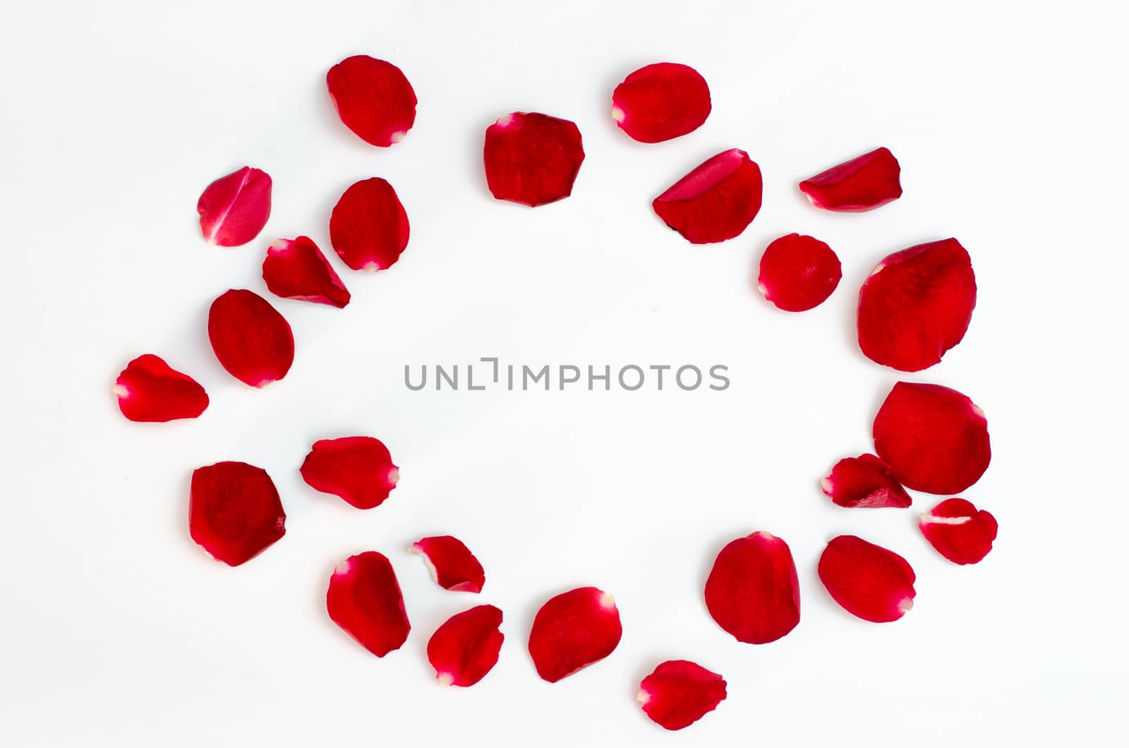 Rose petal isolate on a white background Red design heart by sarayut_thaneerat