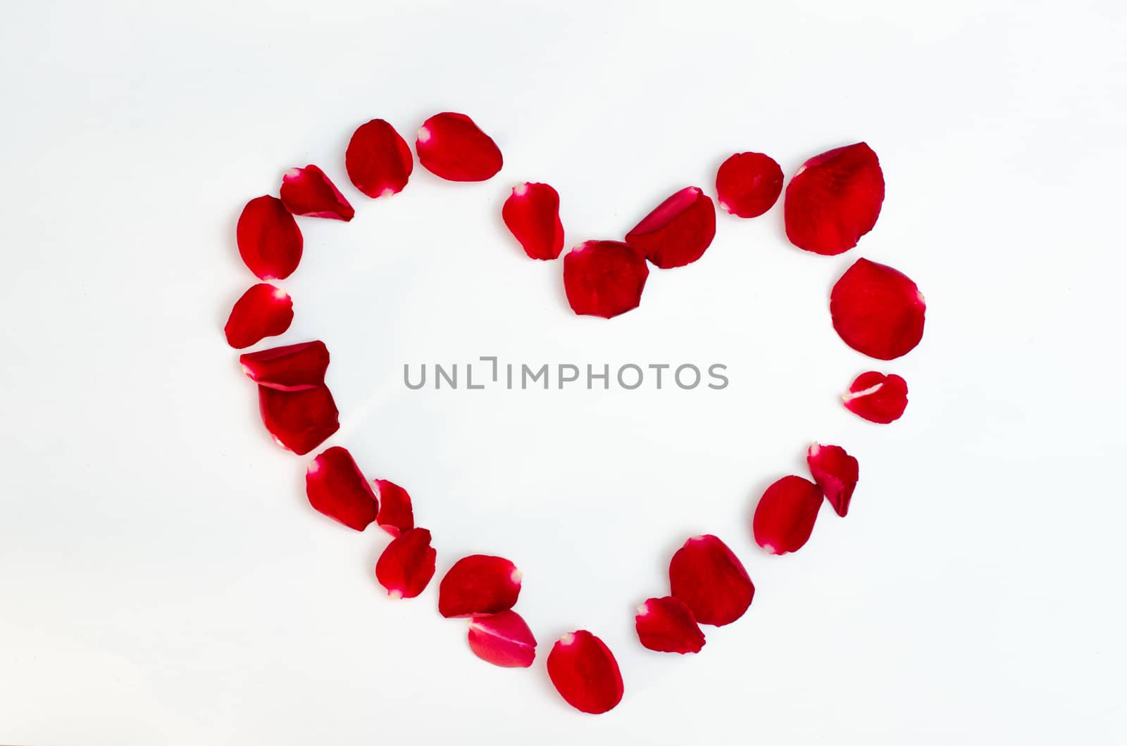 Rose petal isolate on a white background Red design heart