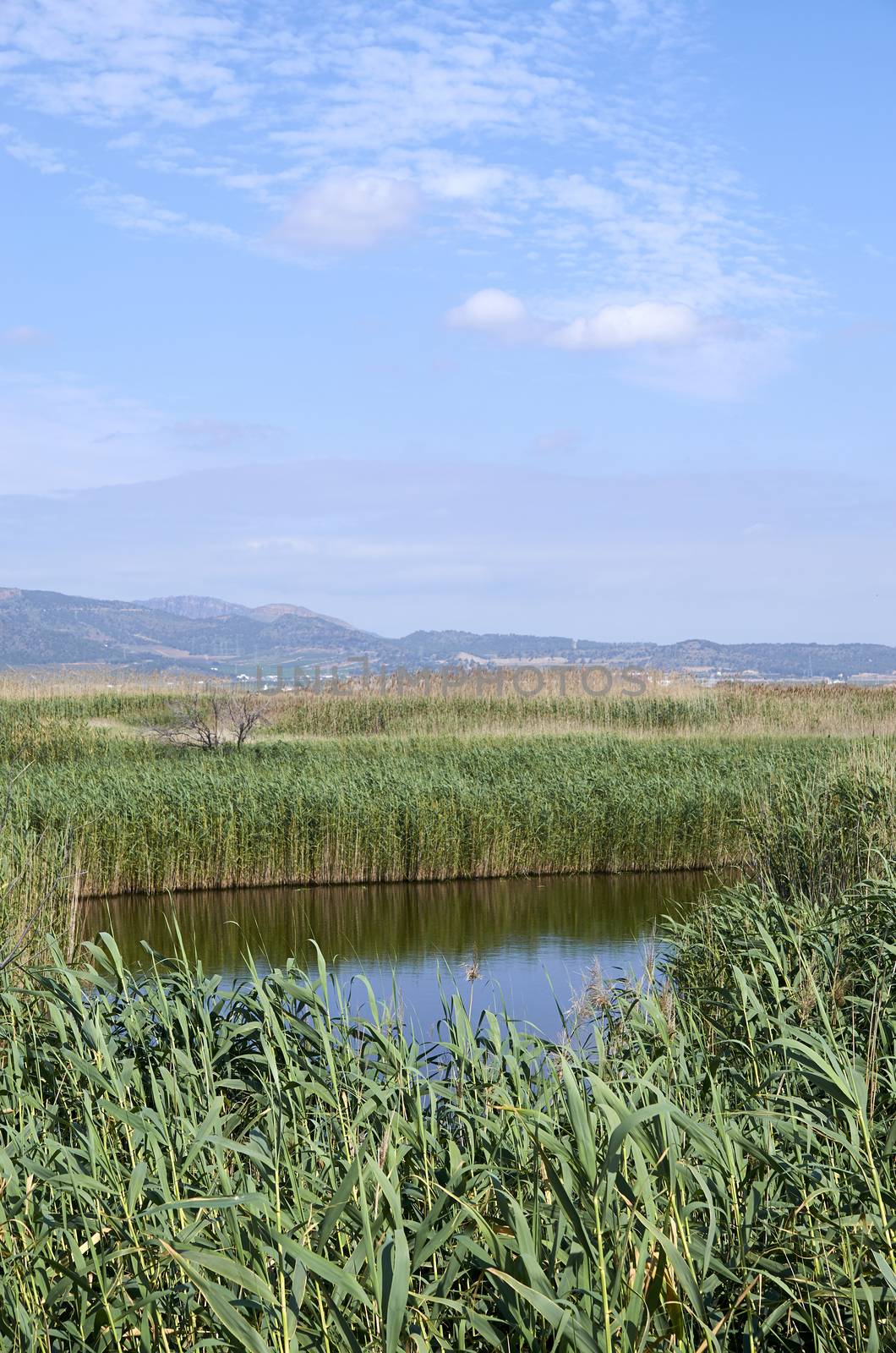 Ponds in Puzol Valencia by bpardofotografia