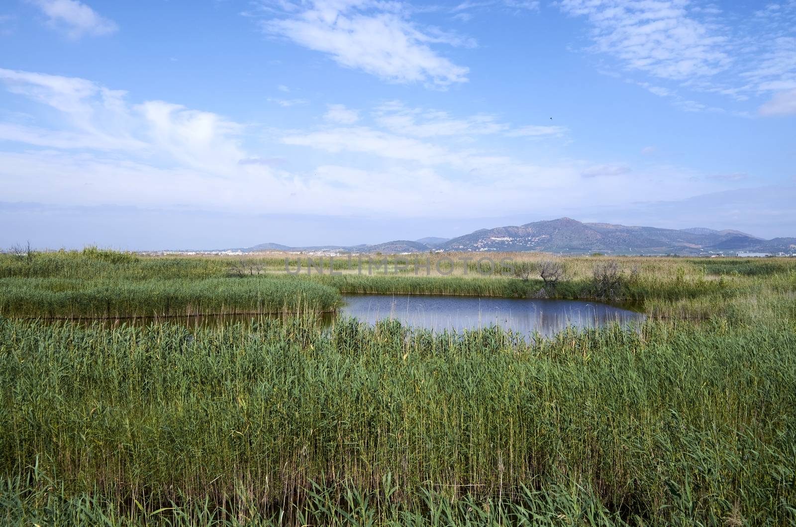 Ponds in Puzol Valencia by bpardofotografia