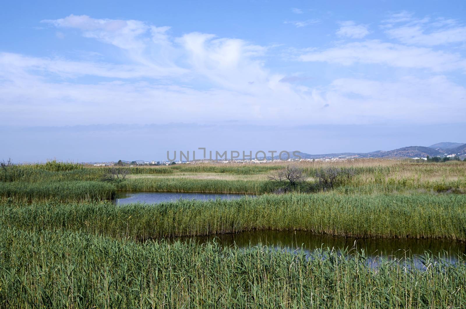 Lagoons in Puzol Valencia in the background Monte Picayo