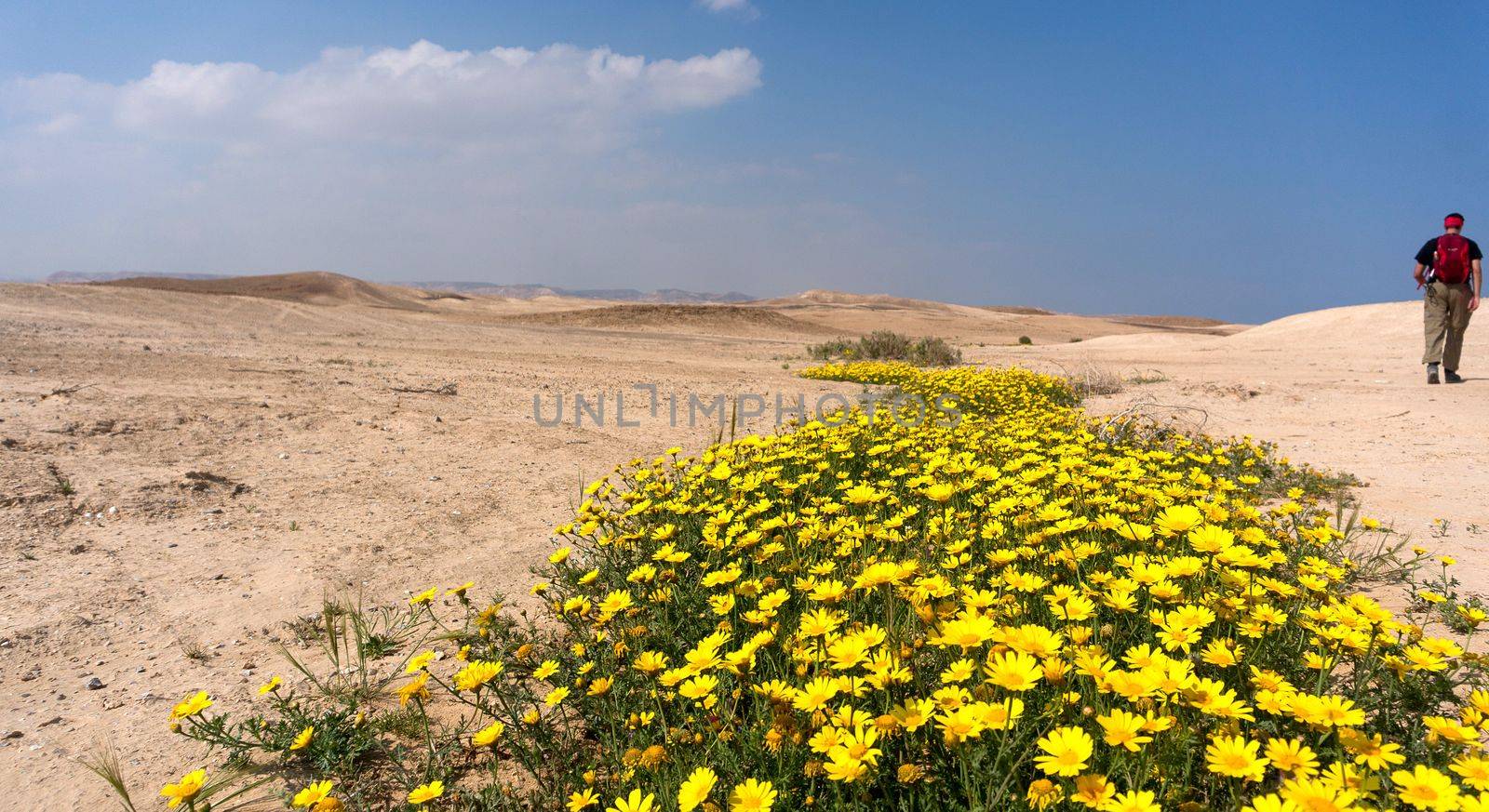 Hiking in spring desert health and ecology tourism