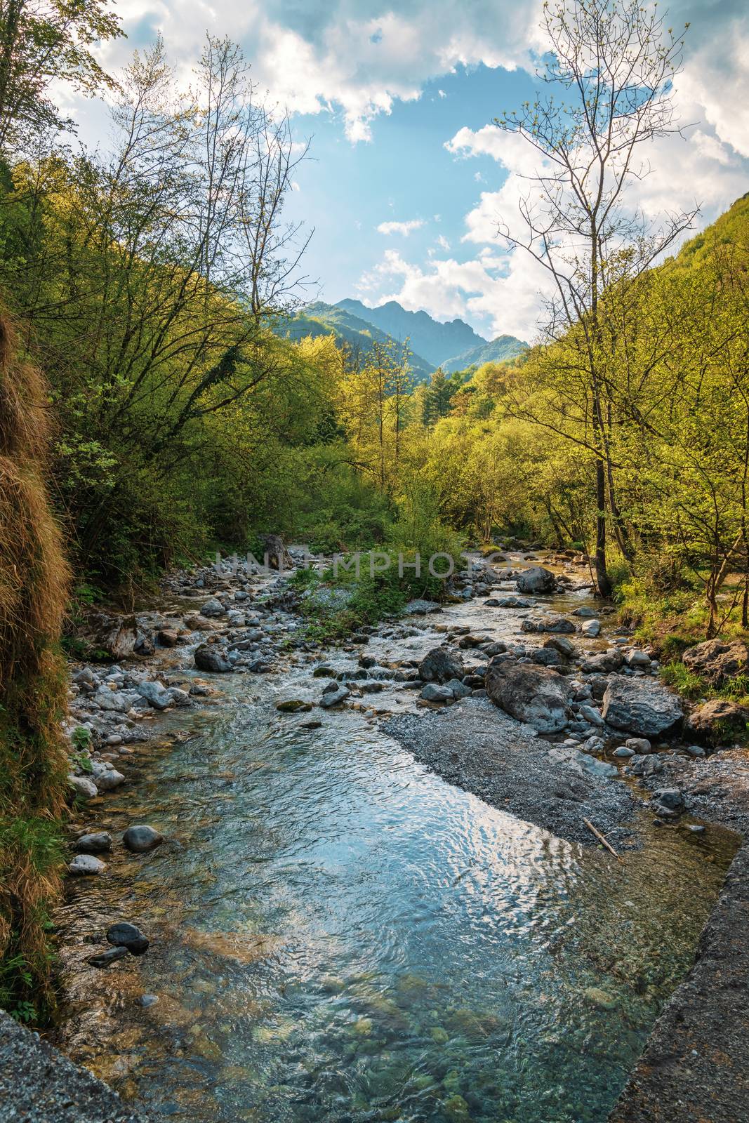 Wonderful view of the Vertova torrent at sunset, in the middle of the Orobiche mountains with its beautiful tiny waterfalls.