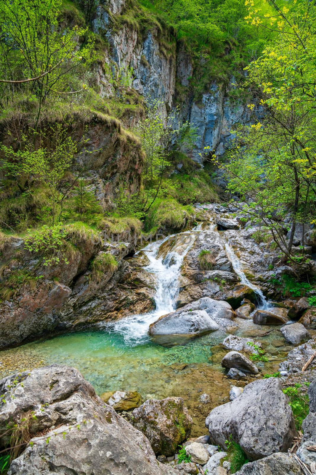 Wonderful view of the Vertova torrent at sunset, in the middle of the Orobiche mountains with its beautiful tiny waterfalls.