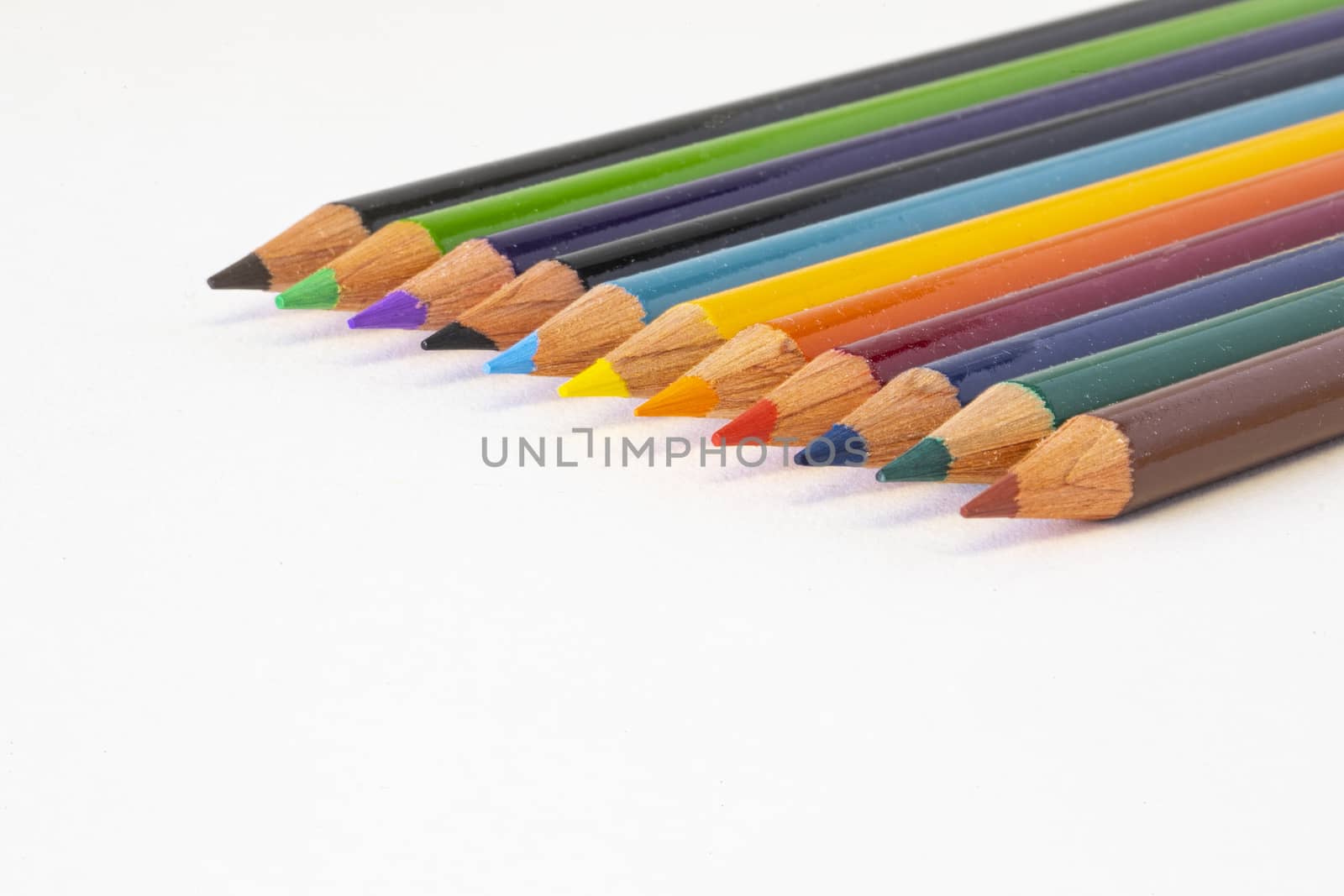 A group of colored pencils on white background, all in focus.