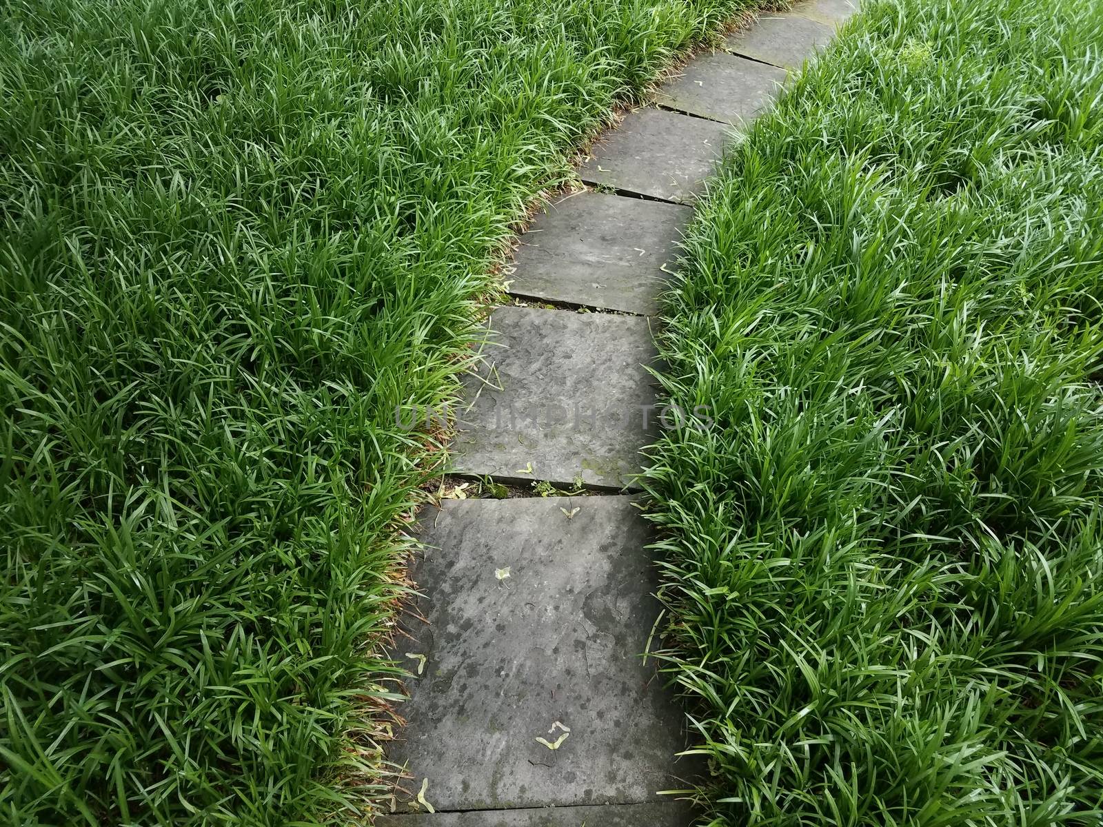 grey stone path or trail and green grasses by stockphotofan1