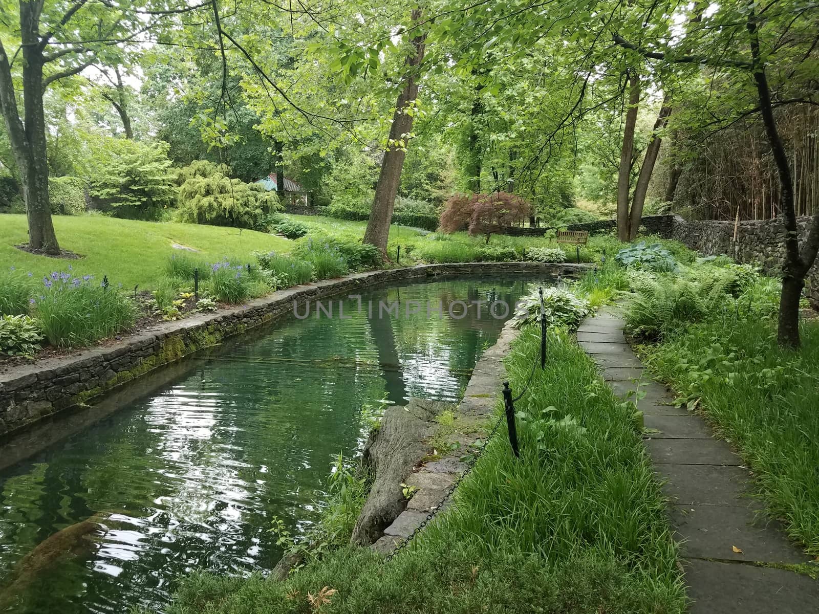 path or trail and canal or stream with green plants and grasses