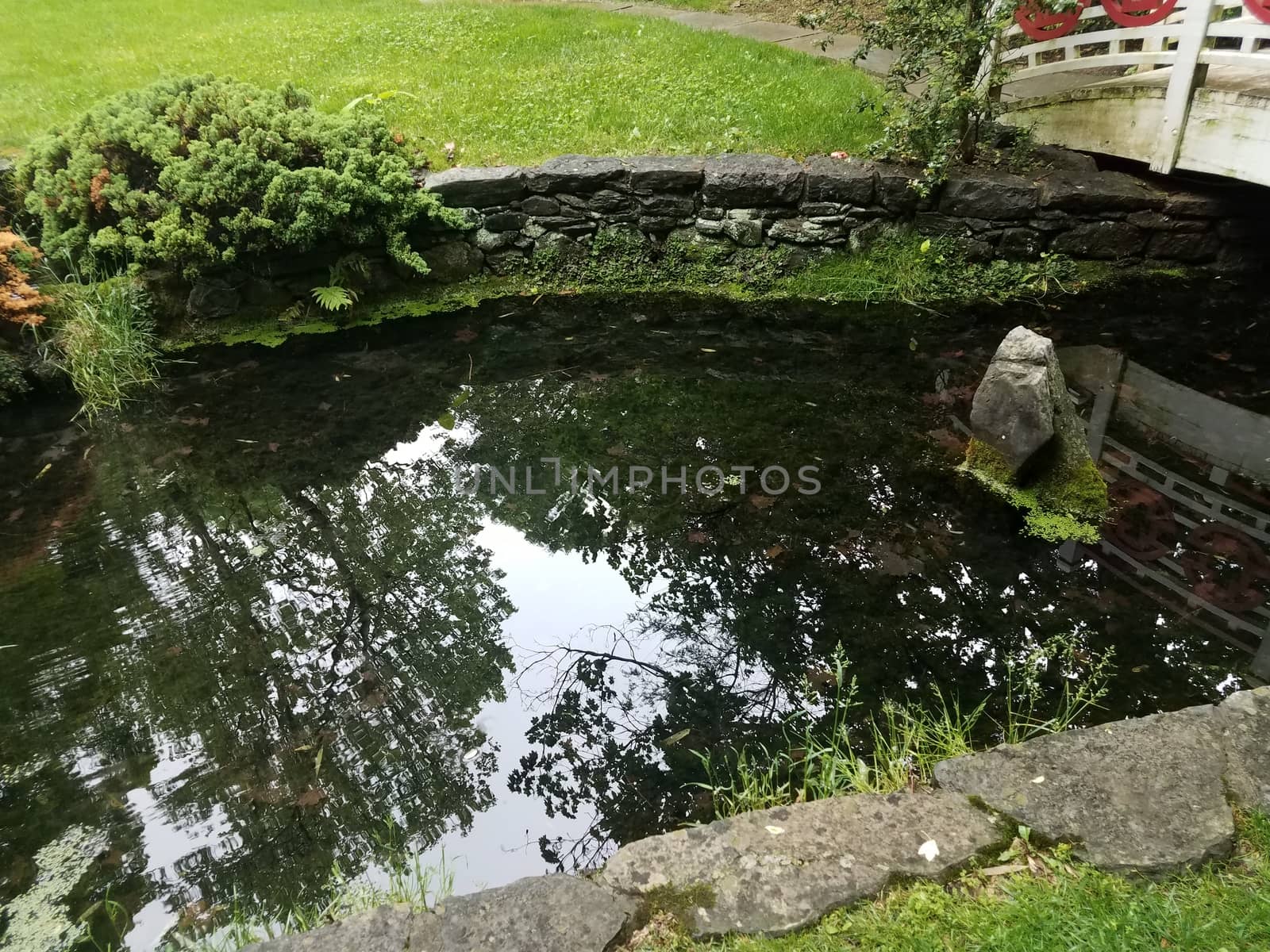 wooden bridge with reflective water in pond or stream or creek