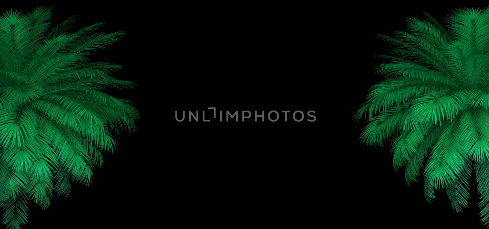 3d render of neon palm leaves on the black. Banner design. Retrowave, synthwave, vaporwave illustration. by Shanvood