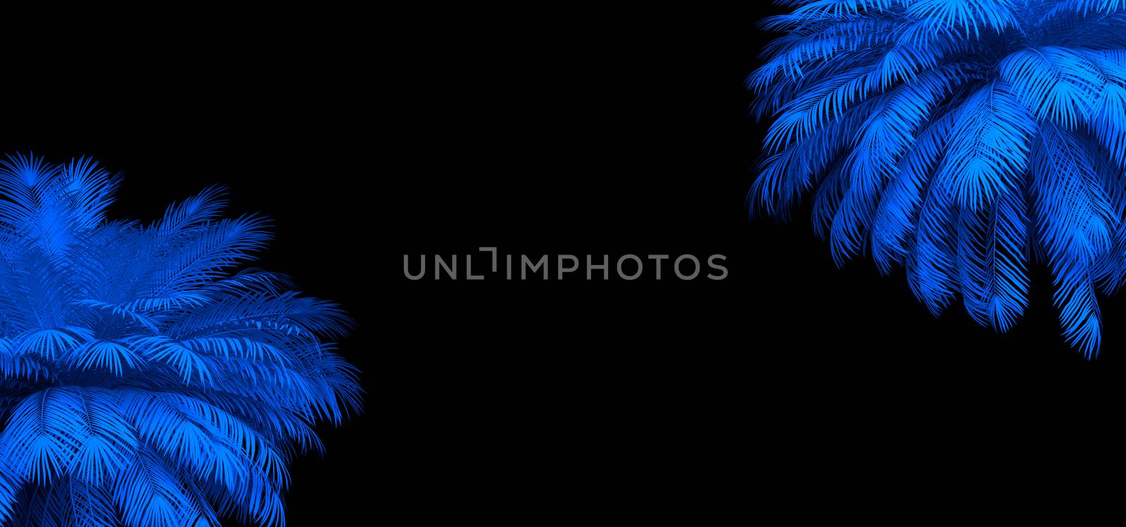 3d render of neon palm leaves on the black. Banner design. Retrowave, synthwave, vaporwave illustration. Party and sales concept