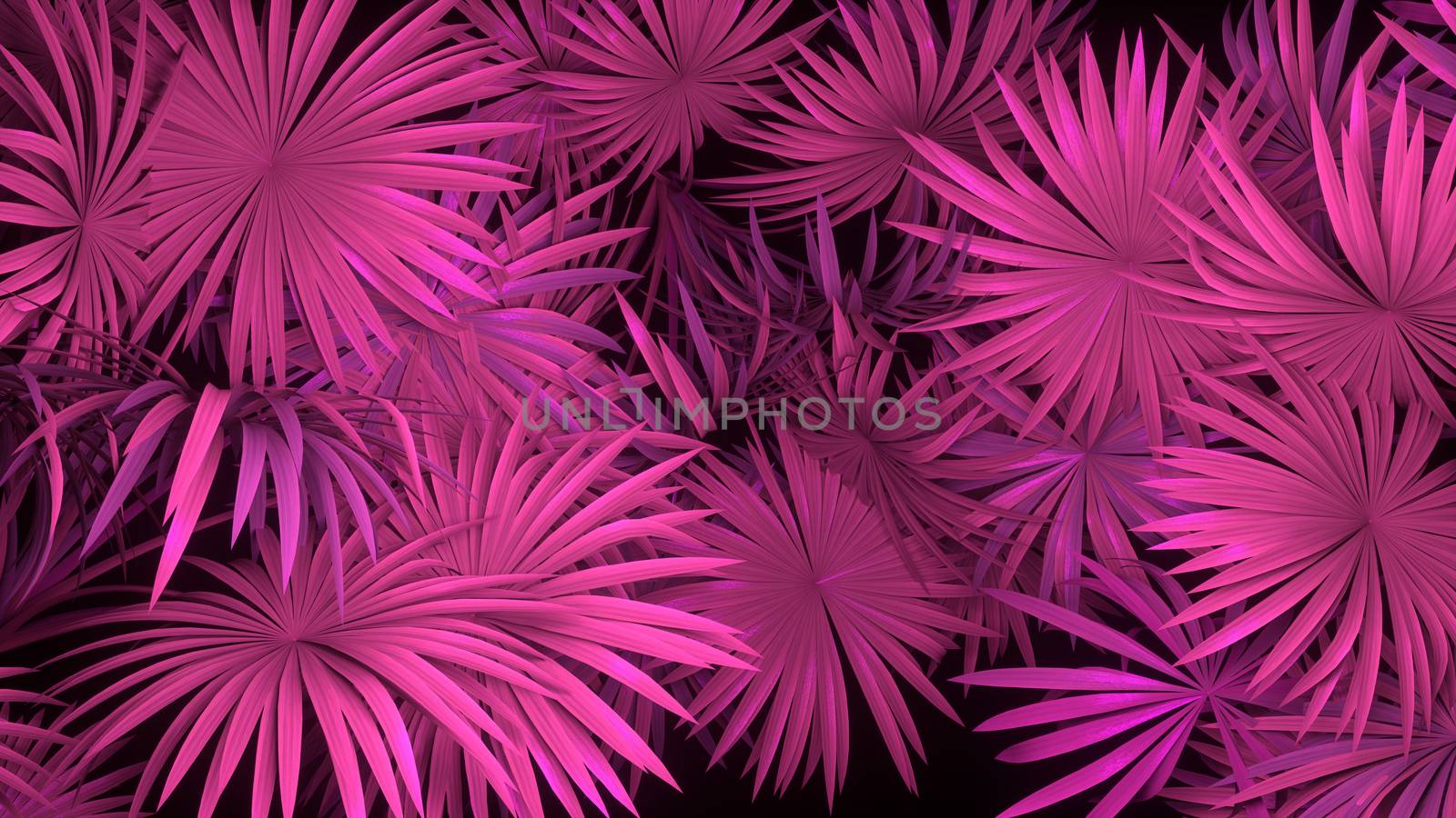 3d render of neon palm leaves on black background. Banner design. Retrowave, synthwave, vaporwave illustration. by Shanvood
