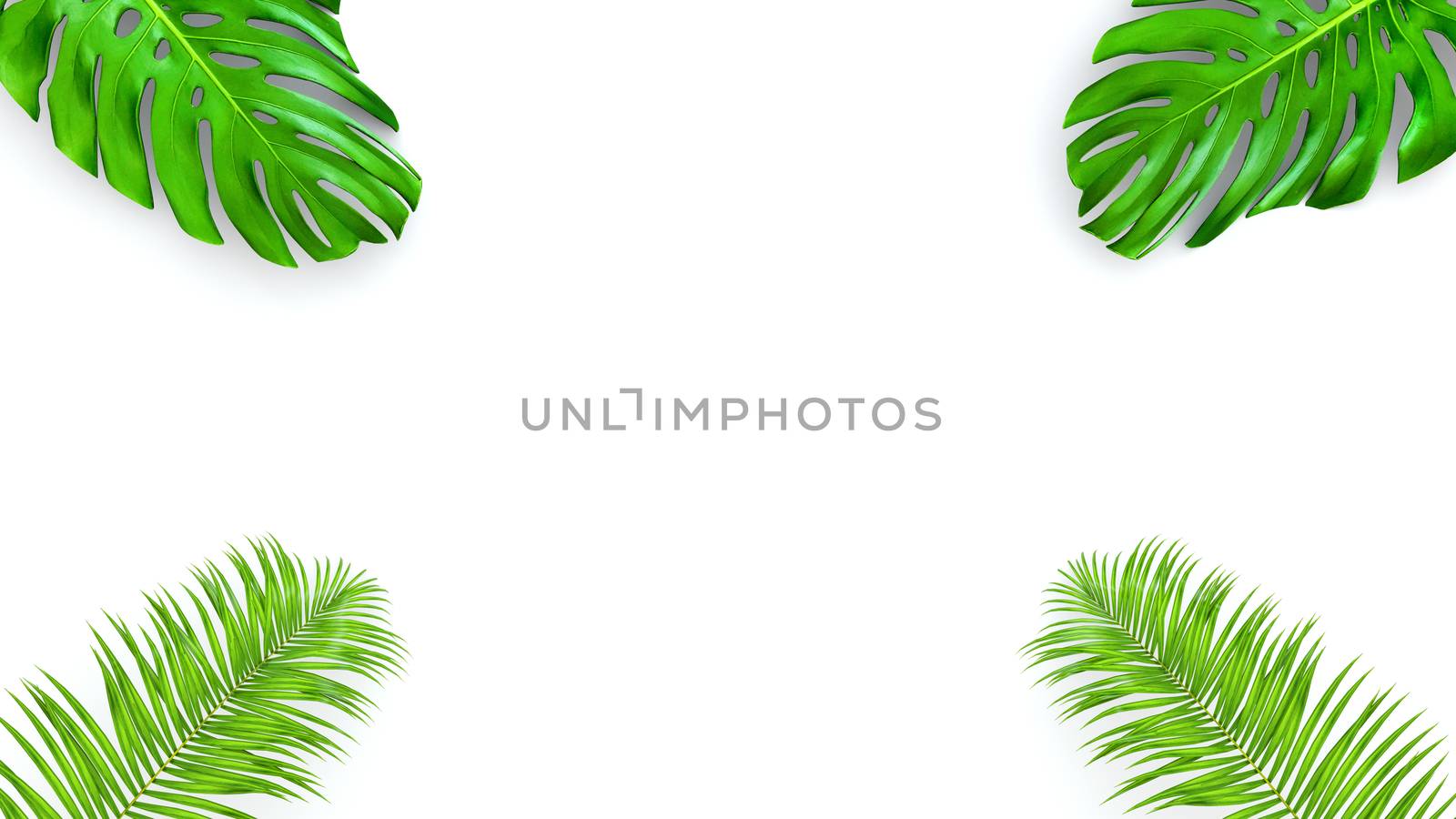 3D render of realistic palm leaves on white background for cosmetic ad or fashion illustration. Tropical frame exotic banana palm. by Shanvood
