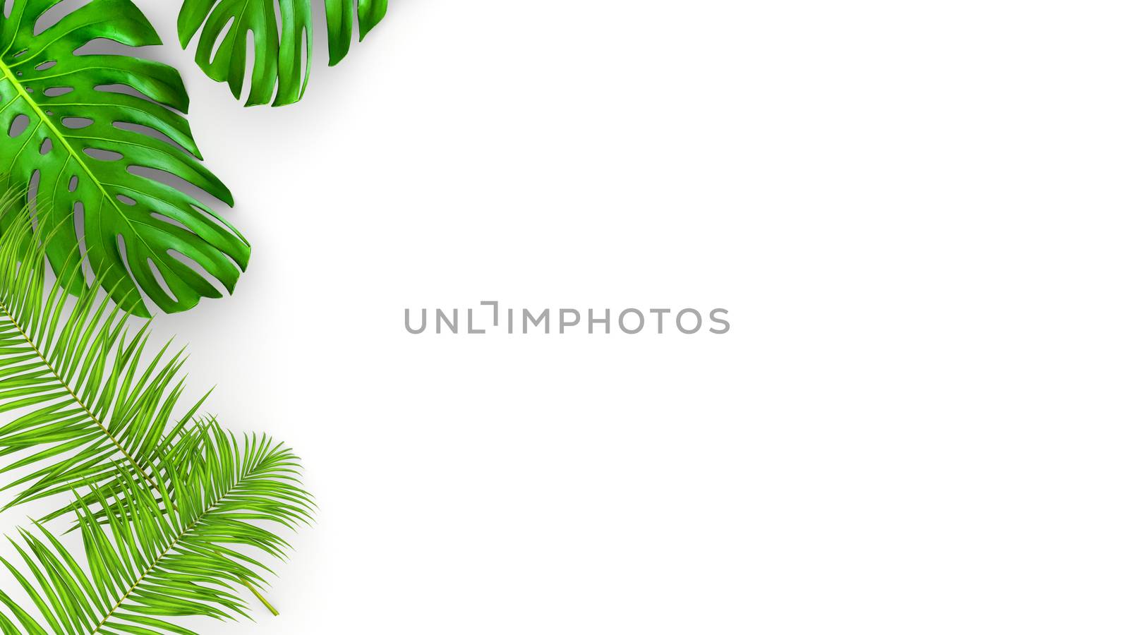 3D render of realistic palm leaves on white background for cosmetic ad or fashion illustration. Tropical frame exotic banana palm. Sale banner design.