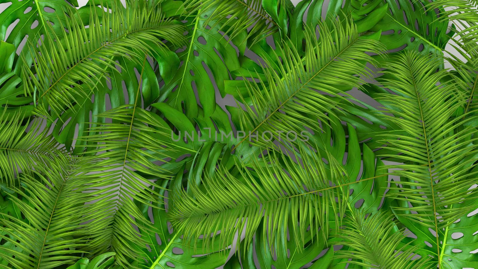 3D render of realistic palm leaves on white background for cosmetic ad or fashion illustration. Tropical frame exotic banana palm. by Shanvood