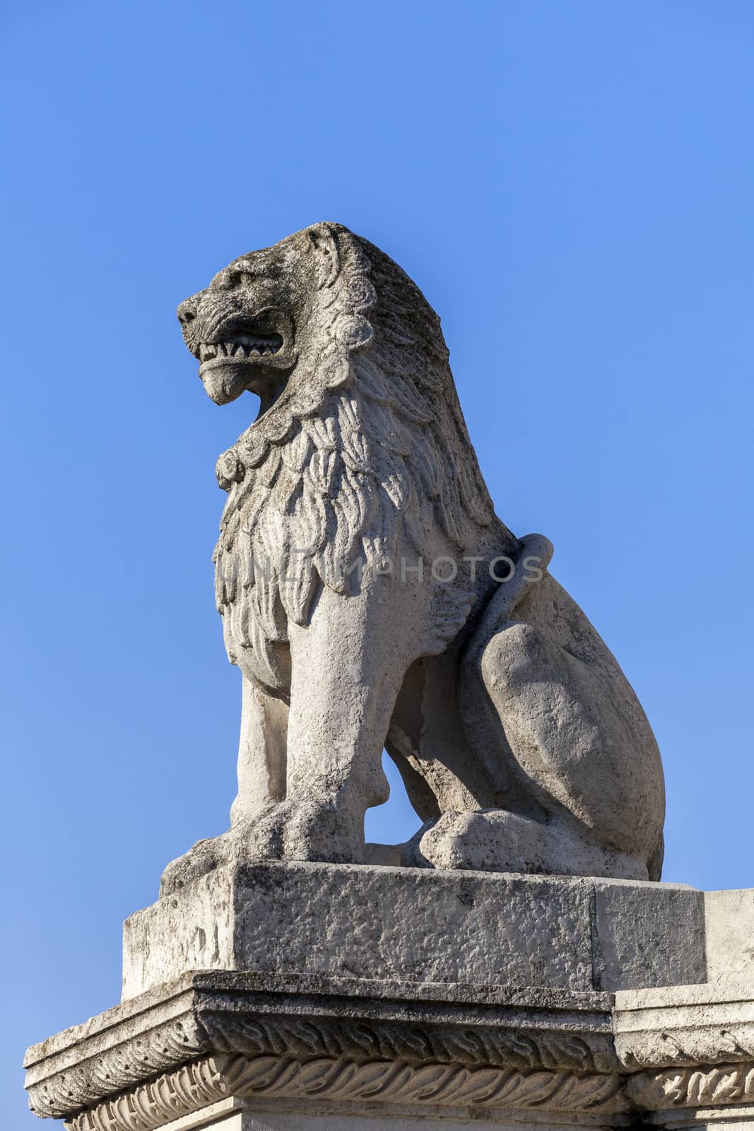Stone lion statue in Budapest, Hungary, view from below