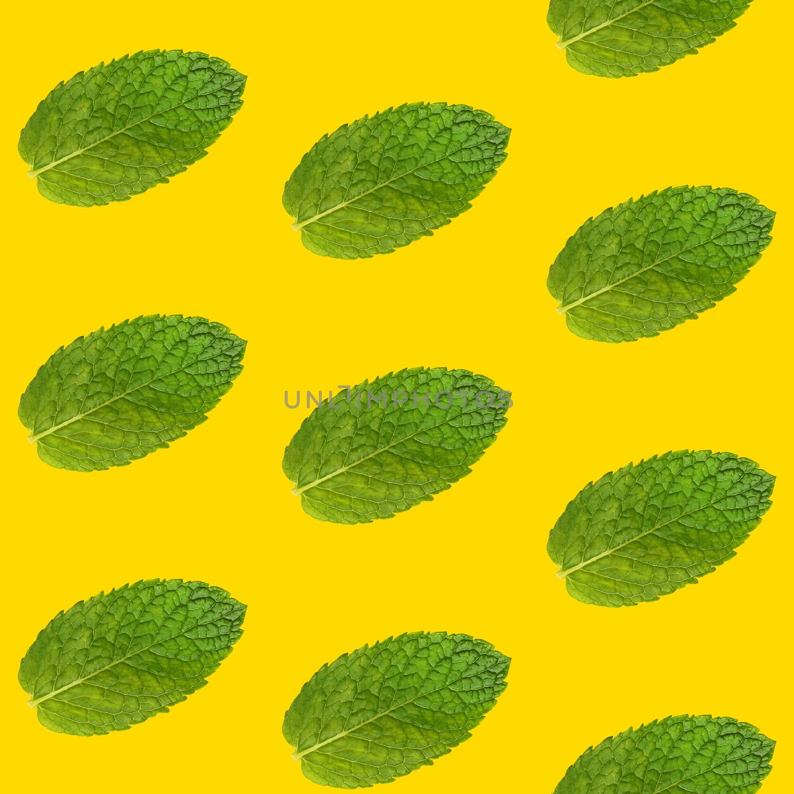 Seamless pattern of fresh green mint leaves on vivid yellow background