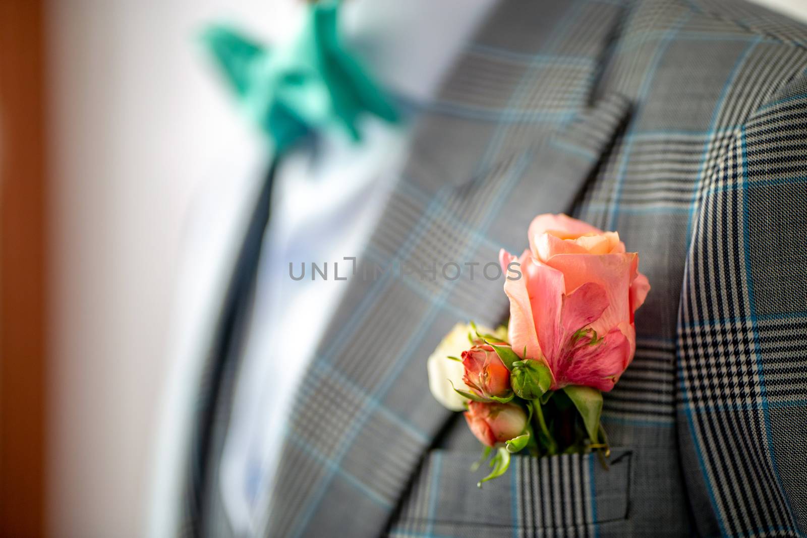 Wedding boutonniere of rose in pocket of checkered jacket of groom. Boutonniere of pink roses in the groom's pocket of jacket.