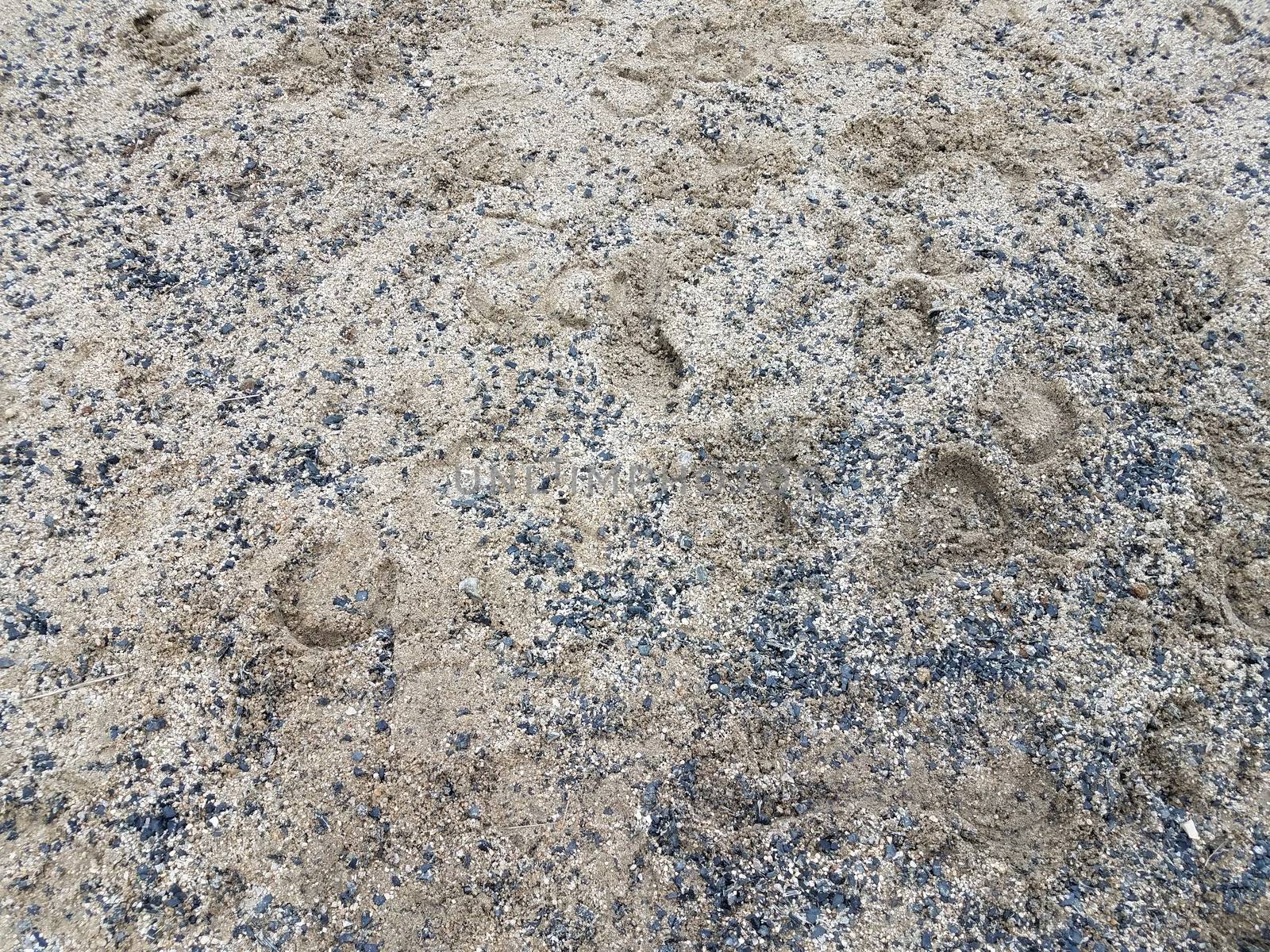 horse shoe prints or tracks from horse on sand or ground