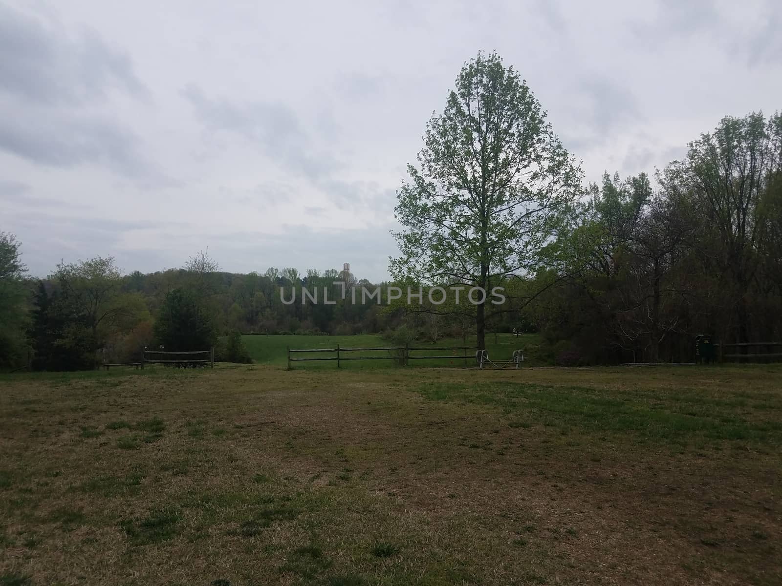 grass field or lawn and fence and trees with picnic table