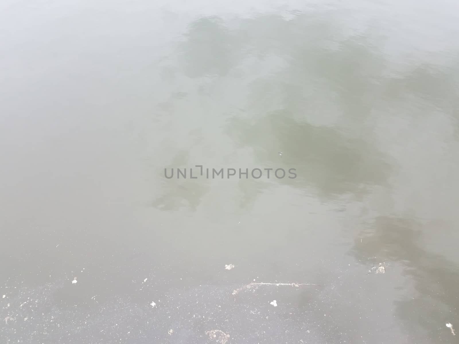 stagnant murky lake or pond water with reflection