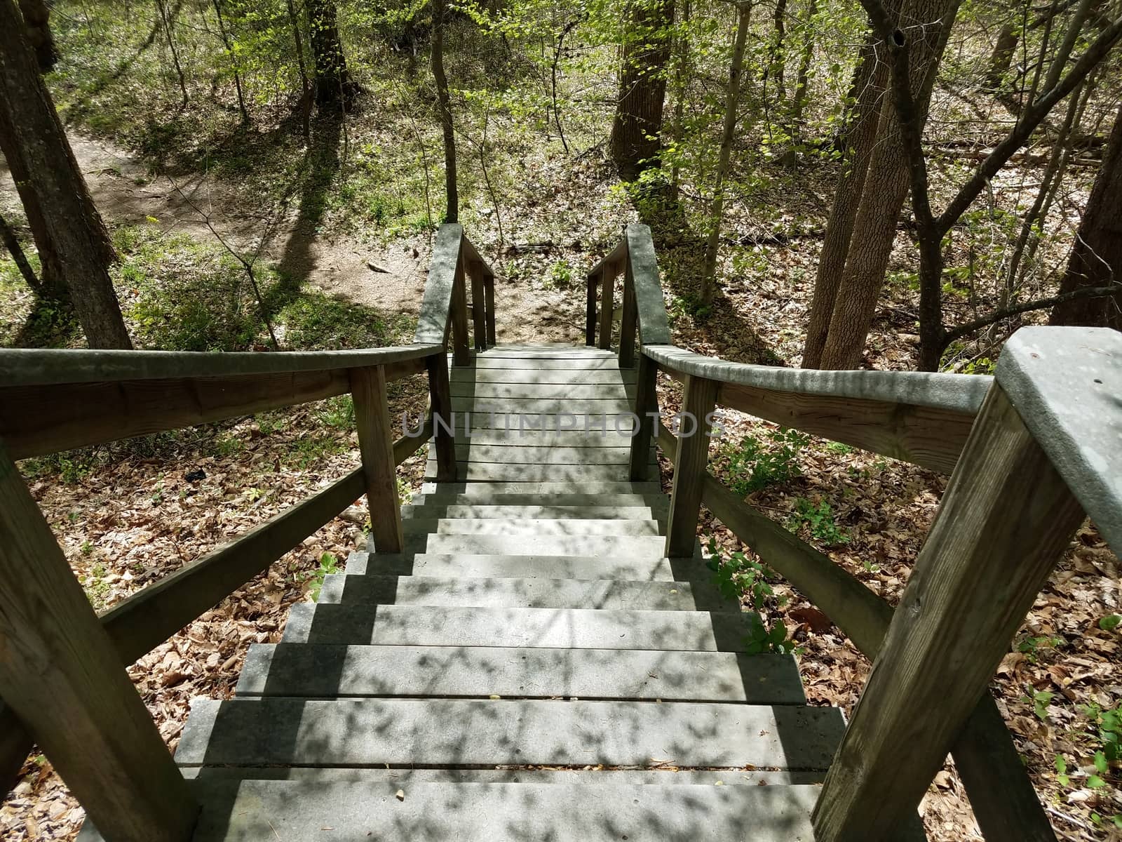 stairs or steps leading down to path with trees by stockphotofan1