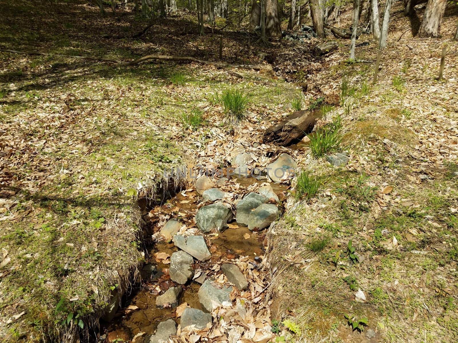 water or stream or creek with rocks or stones and grasses