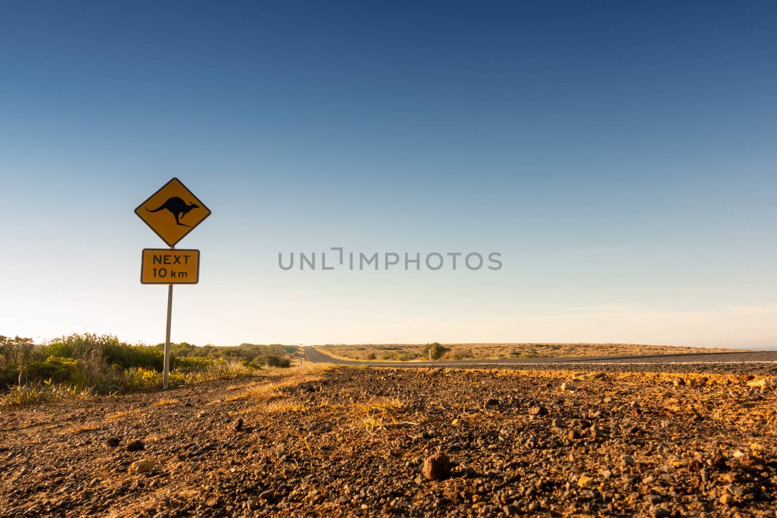  kangaroo crossing road sign warning drivers in  Australia