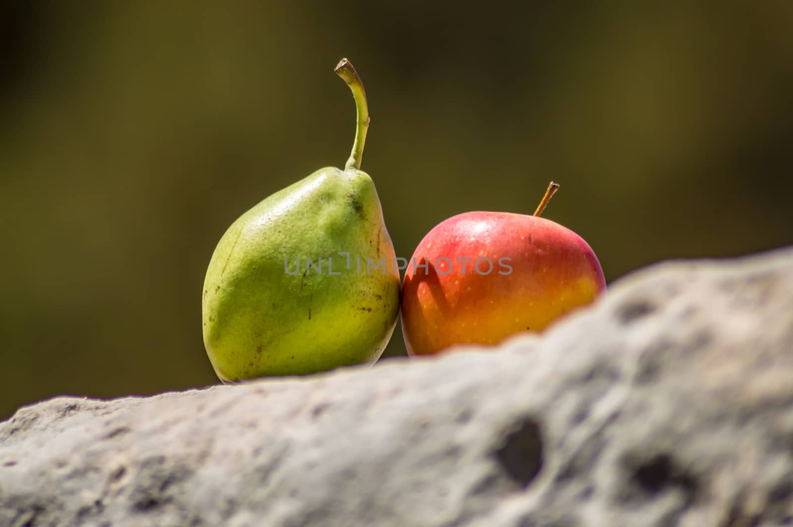 A pear and an apple on a rock  by Philou1000