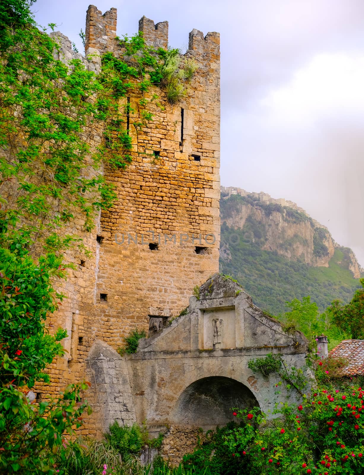 vine tower with ivy plant and crypt with roses castle ninfa .