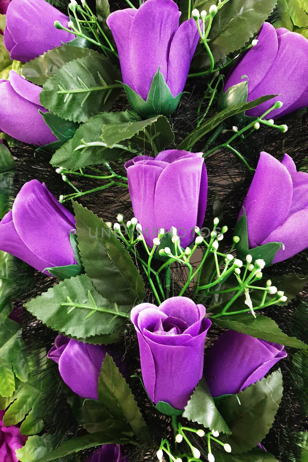 Background of bright purple tulips with green leaves by mdsfotograf