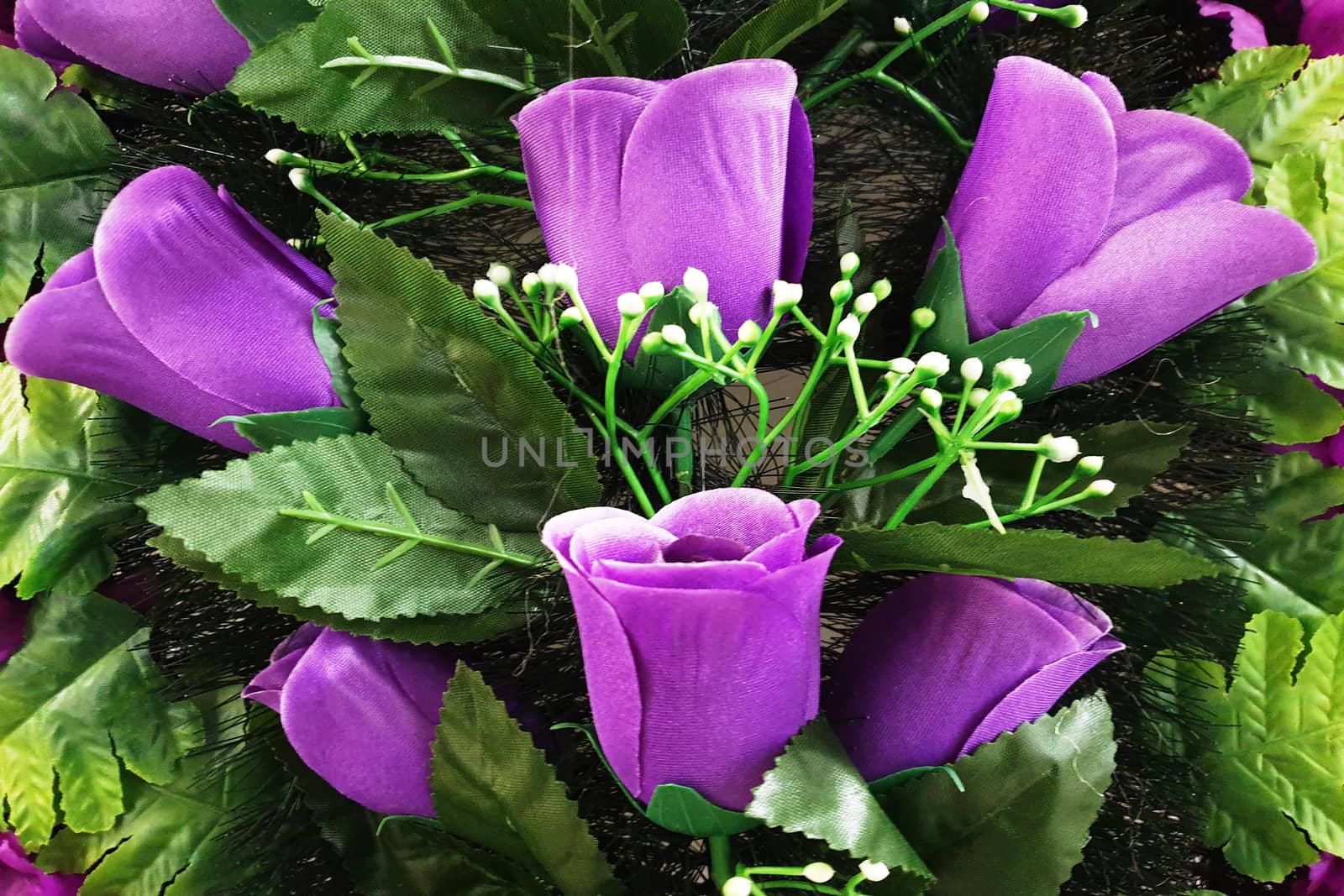 Background of bright purple tulips with green leaves by mdsfotograf
