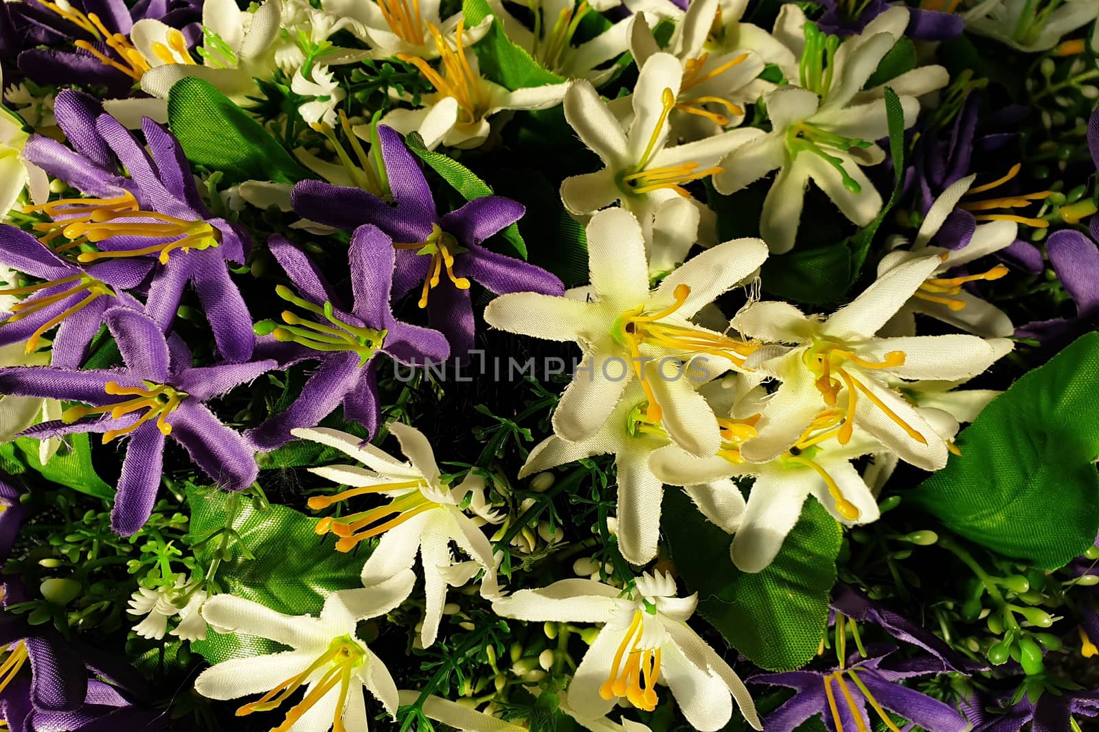 Background of bright purple and white flowers with leaves