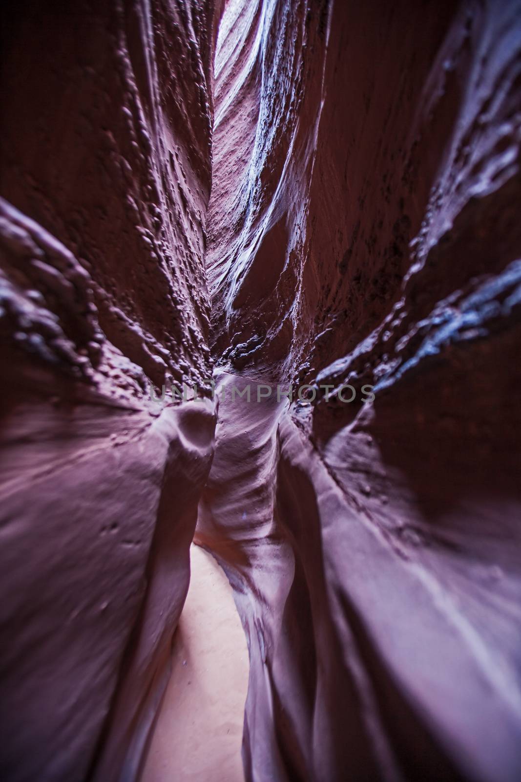 The Spooky slot canyon is one of several slot canyons in the vicinity of Escalante. UT.