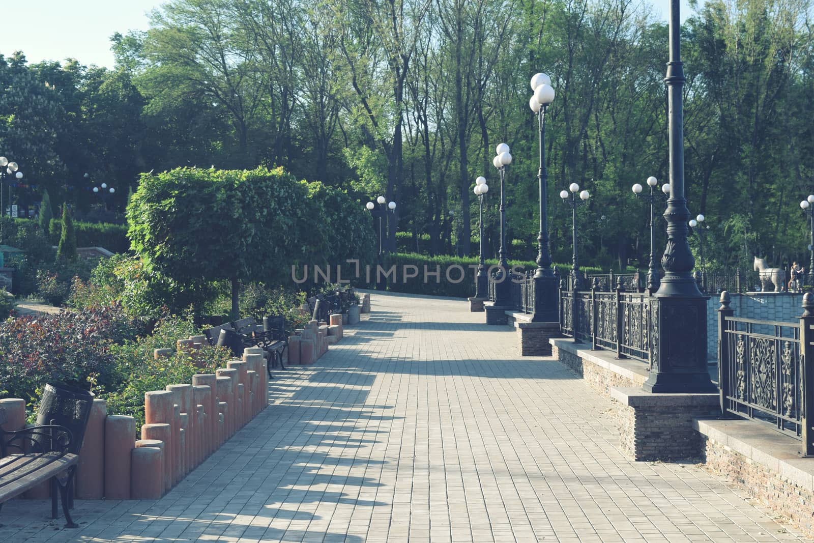 City Park with flowers and trees Summer by IaroslavBrylov